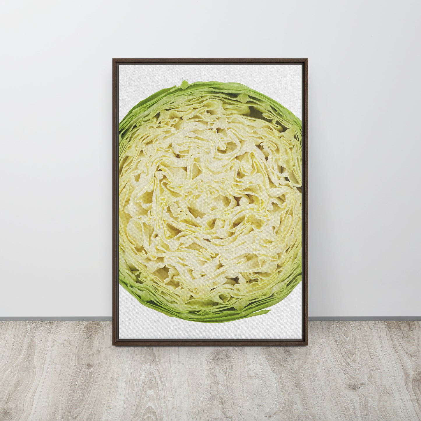 CABBAGE. Framed canvas