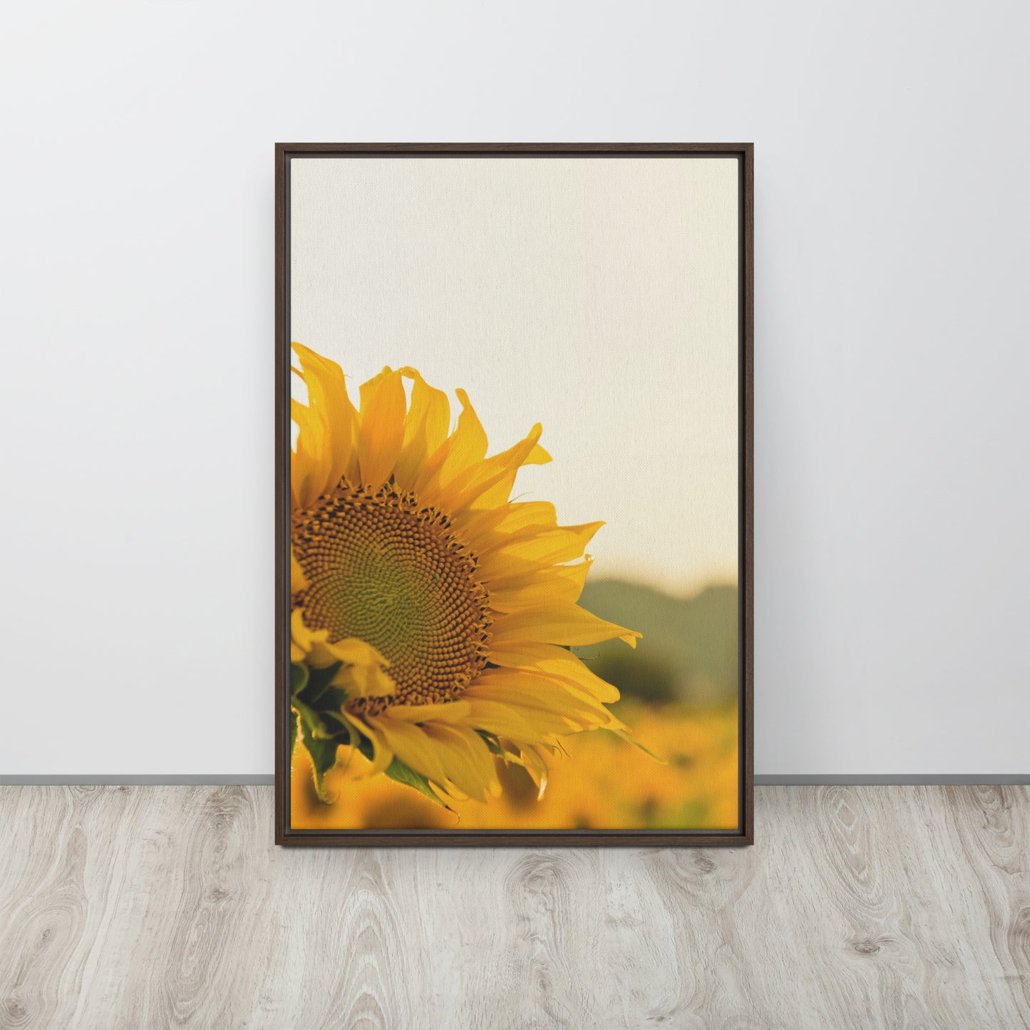 Sunflower. Framed canvas