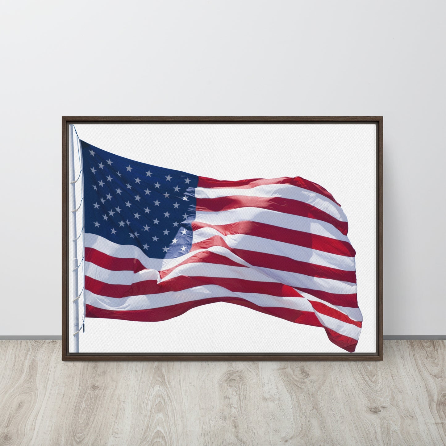 America. Framed canvas