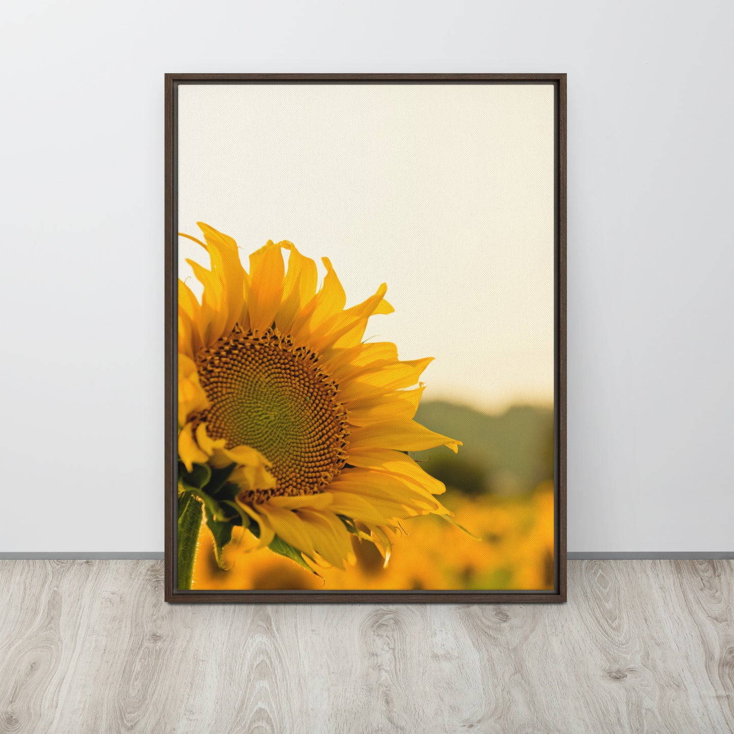 Sunflower. Framed canvas