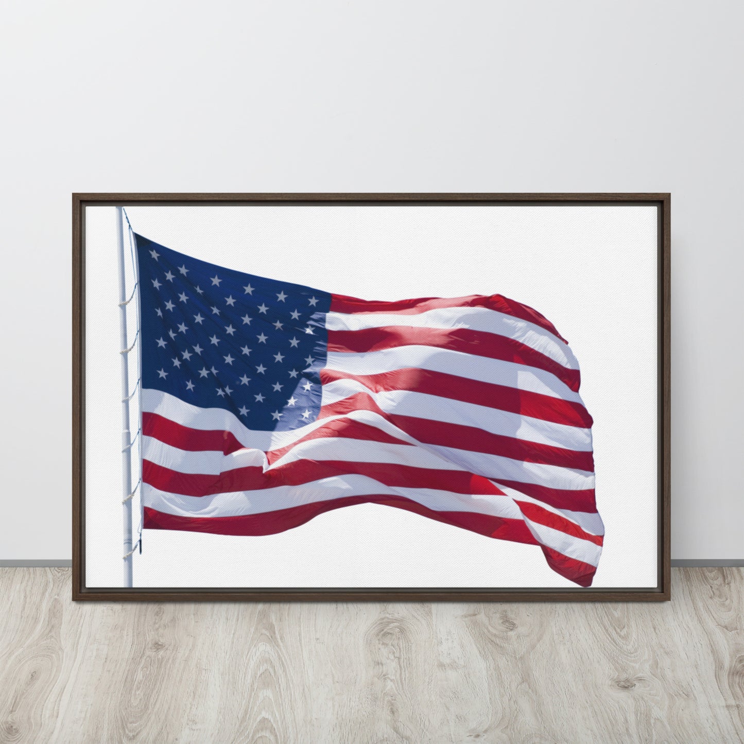 America. Framed canvas