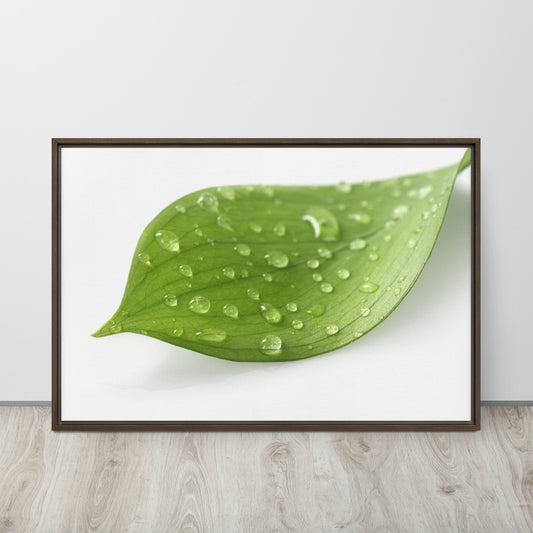 LEAF. Framed canvas