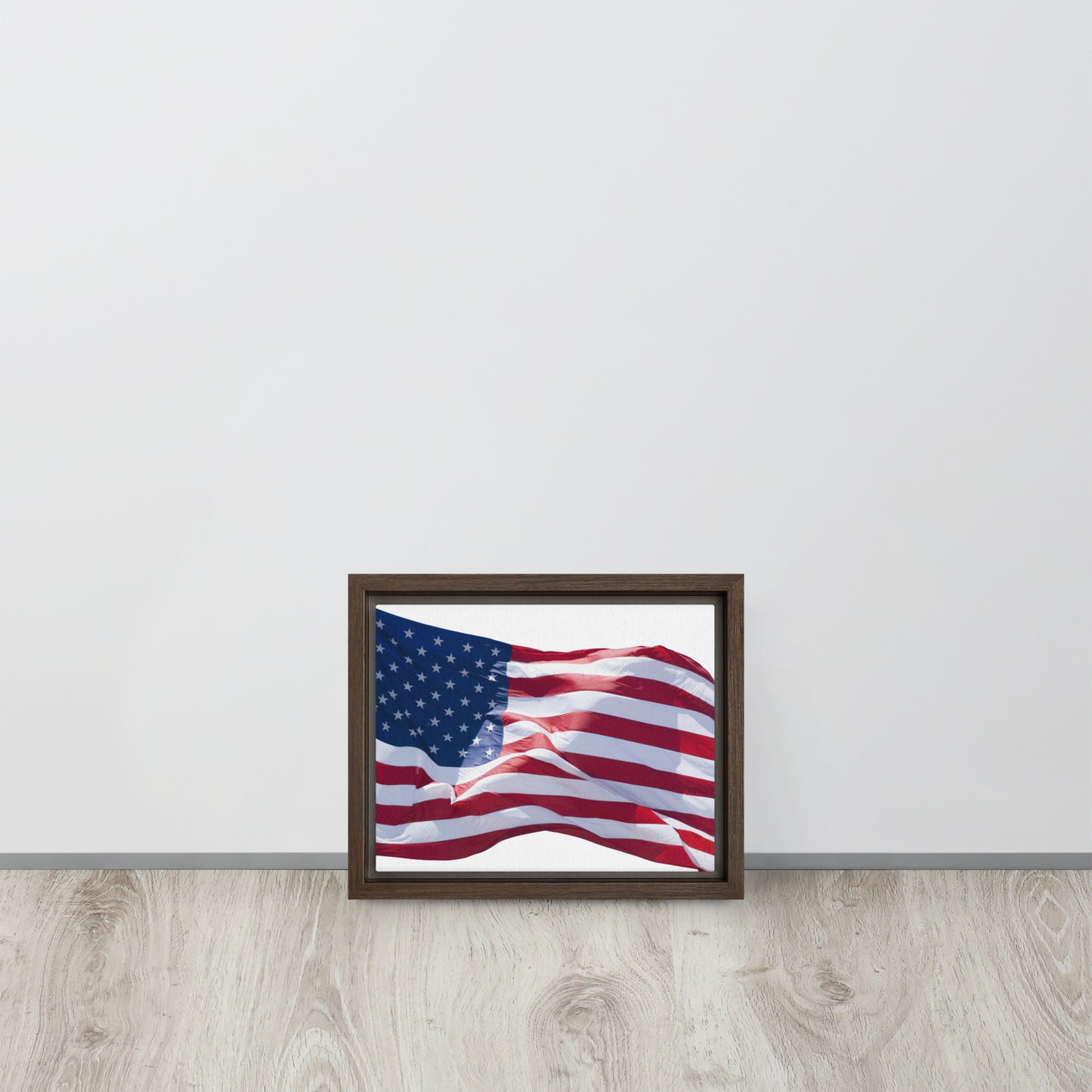 America. Framed canvas