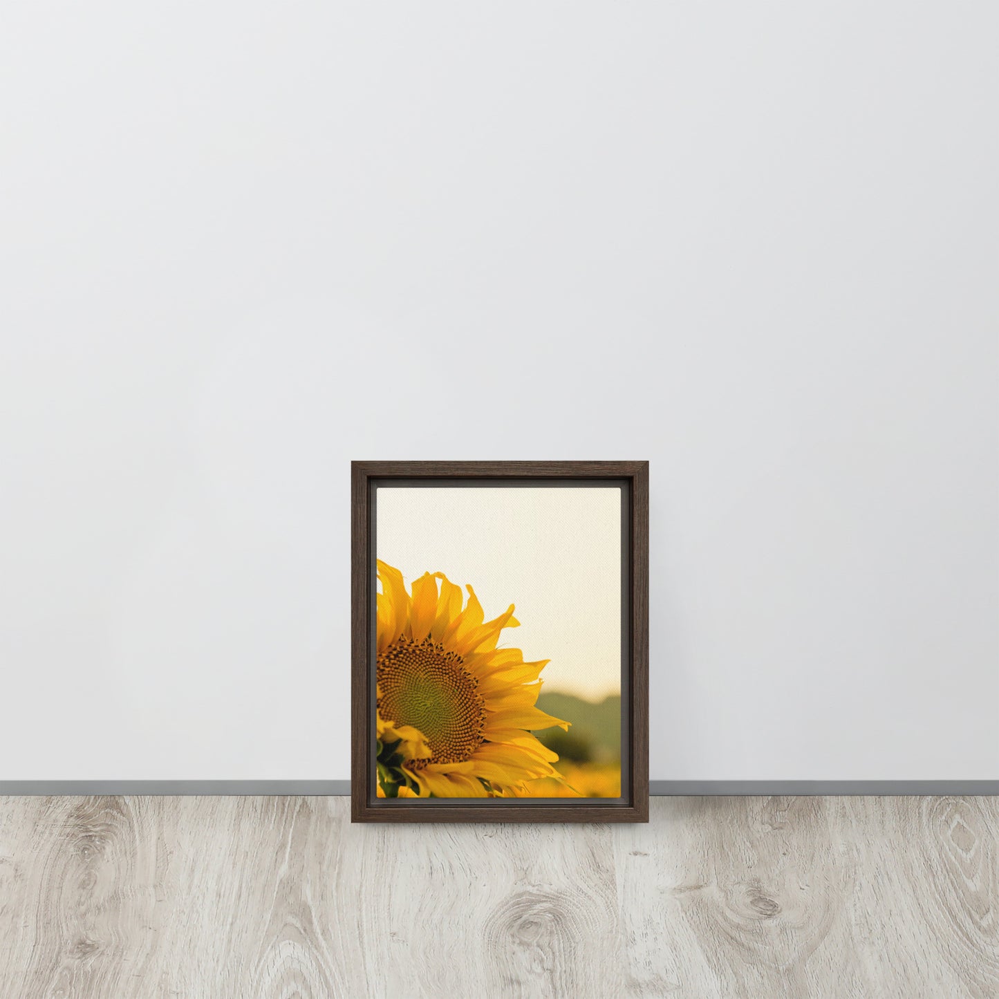 Sunflower. Framed canvas