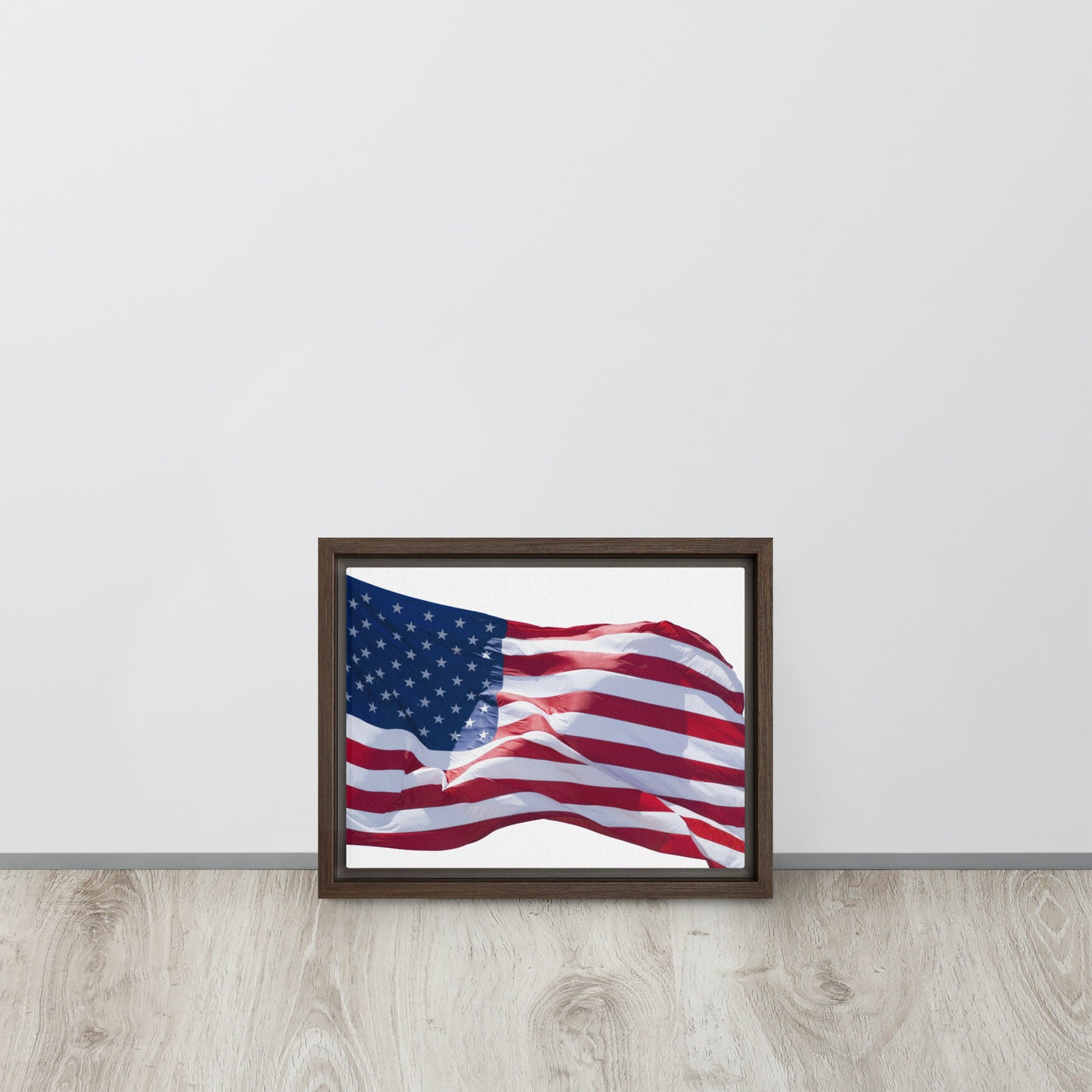 America. Framed canvas