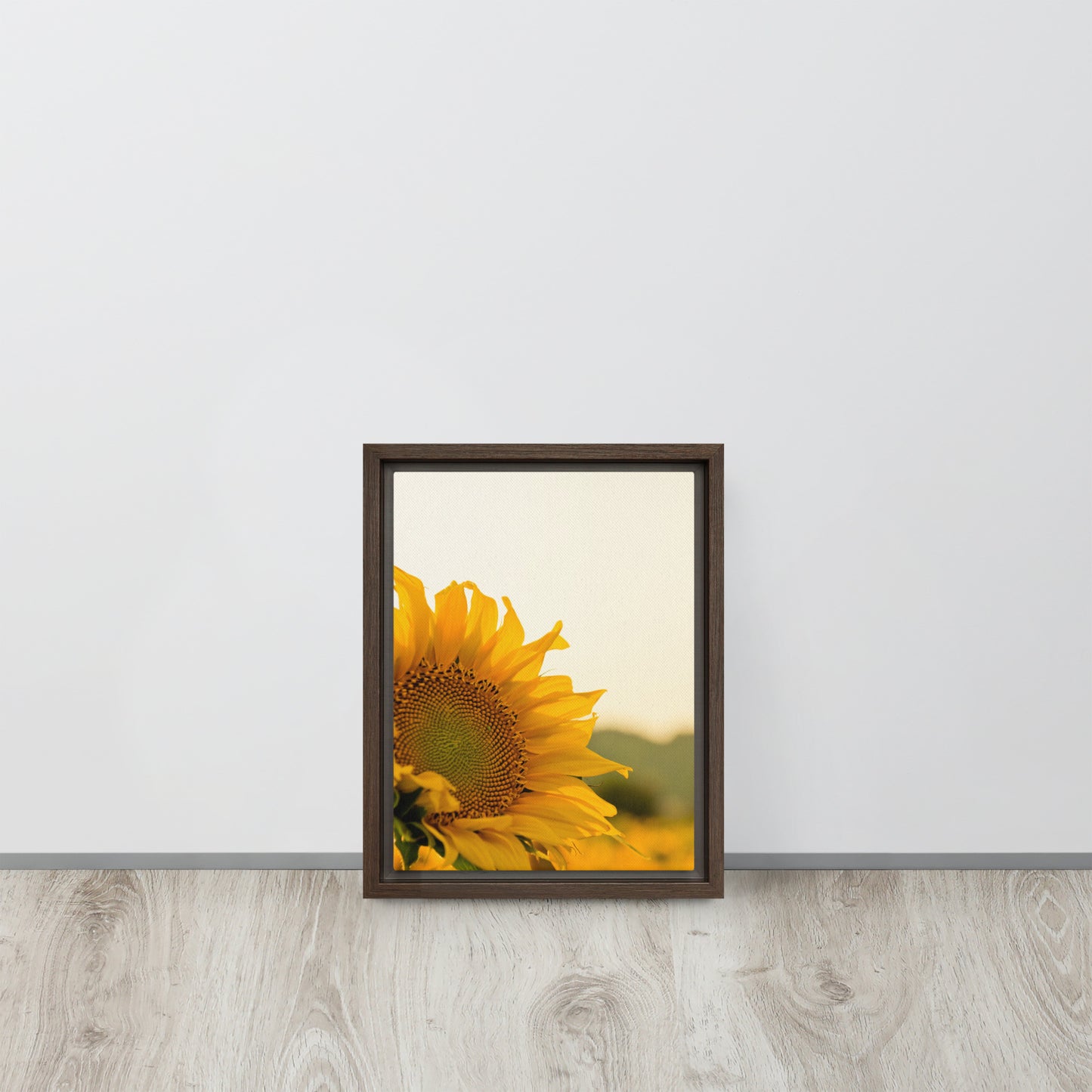 Sunflower. Framed canvas