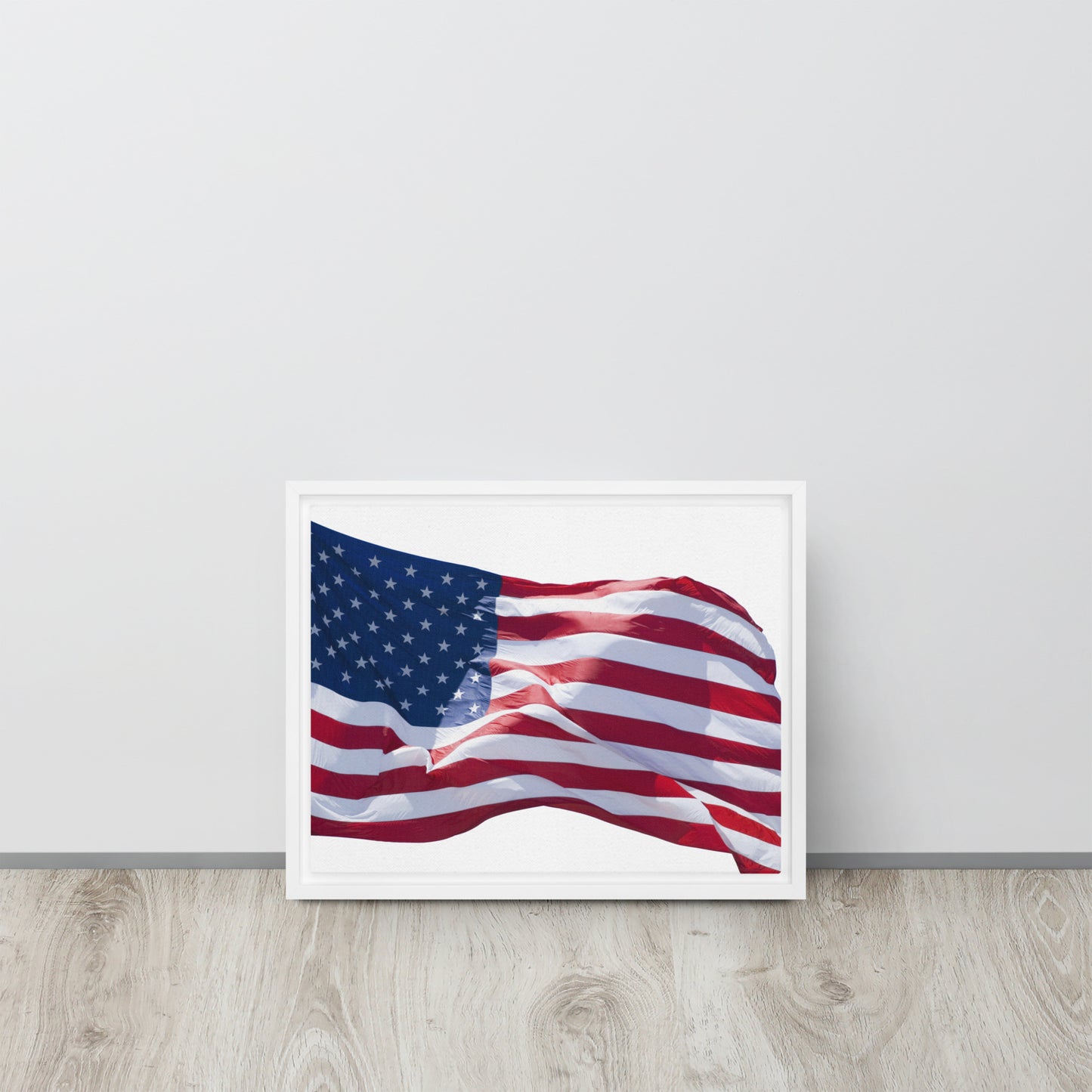 America. Framed canvas