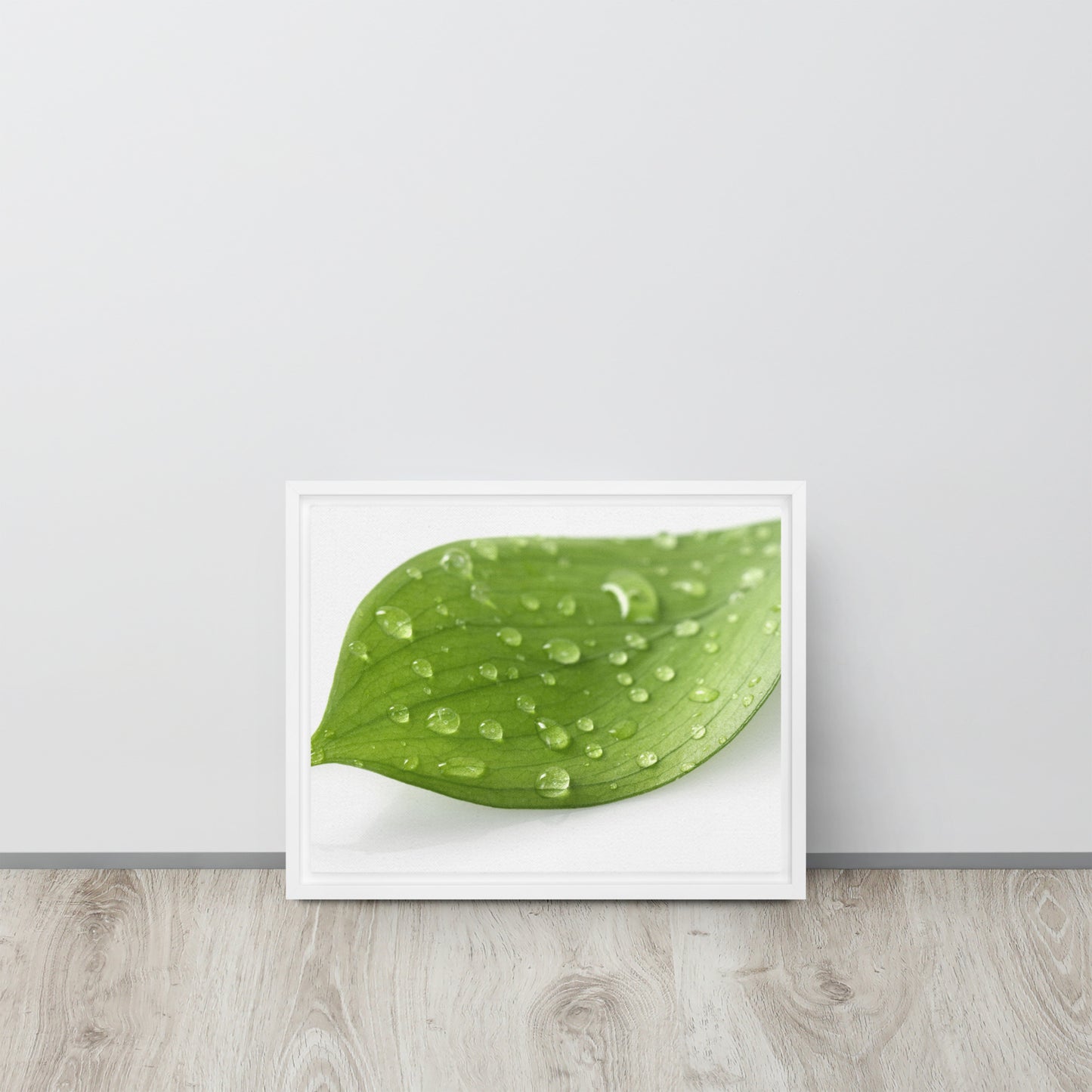 LEAF. Framed canvas