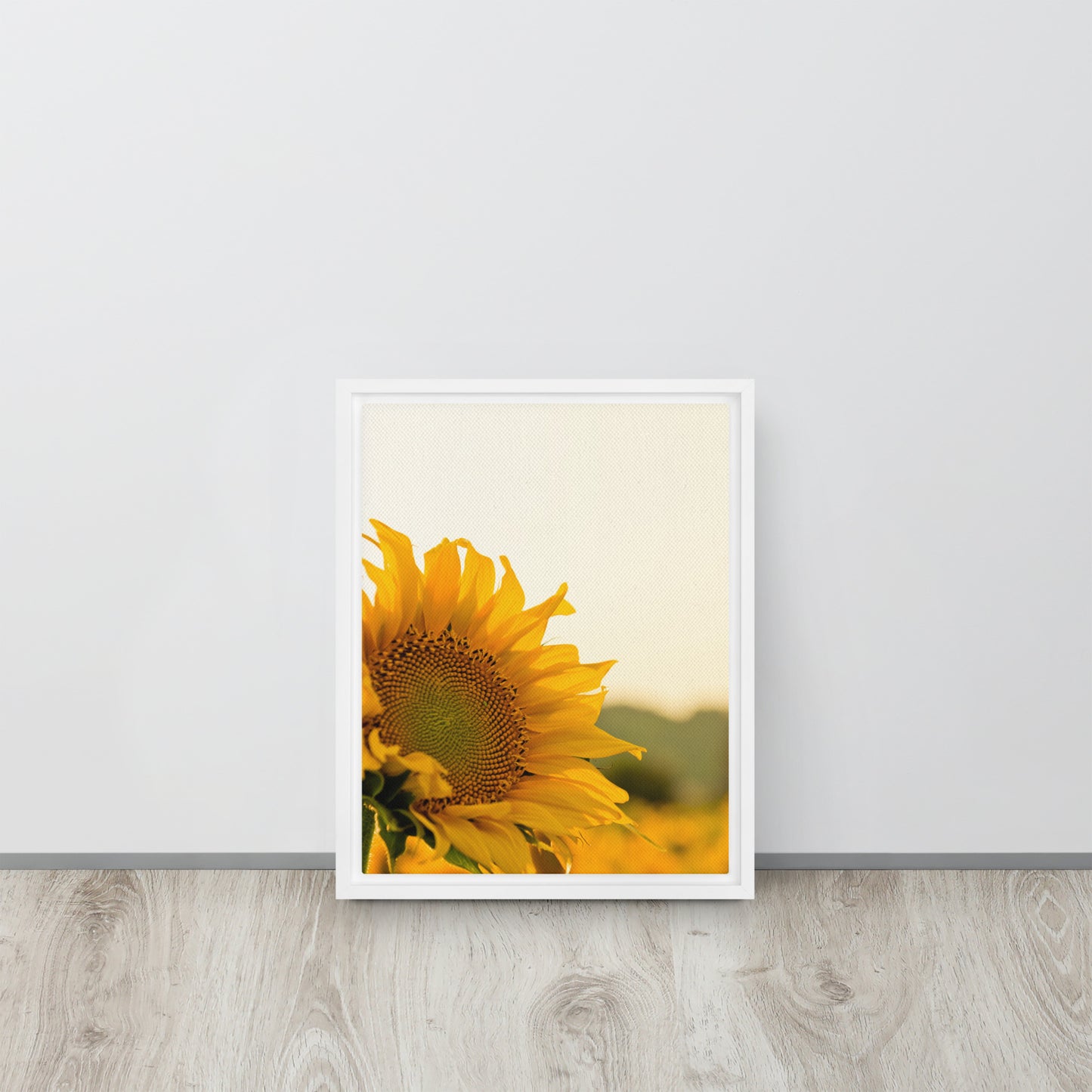 Sunflower. Framed canvas