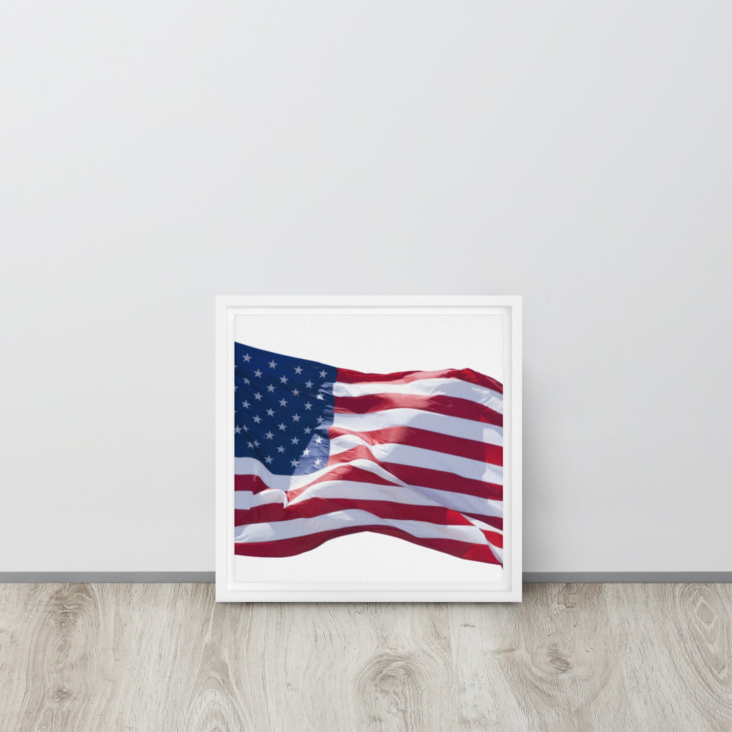 America. Framed canvas