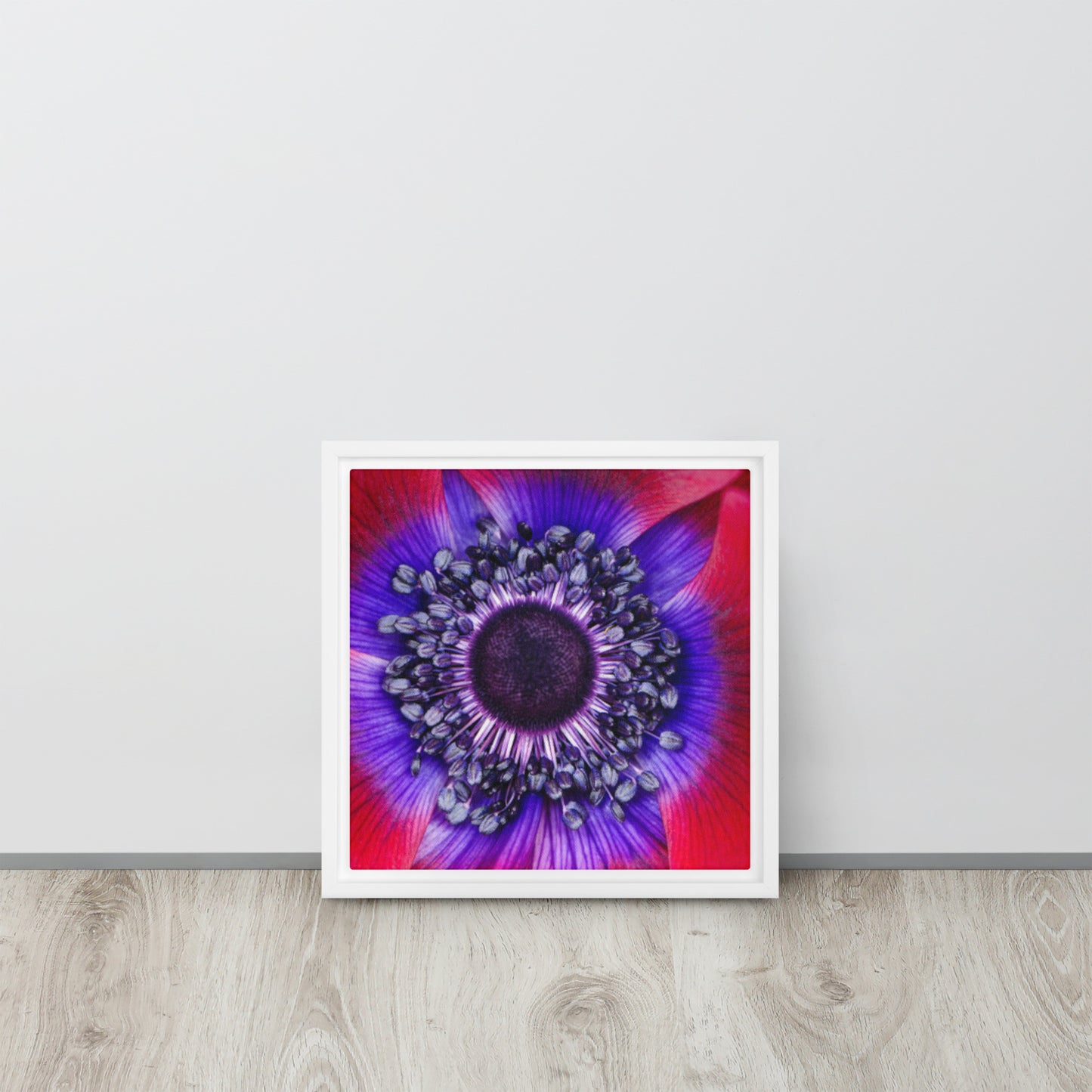 POLLINATE. Framed canvas