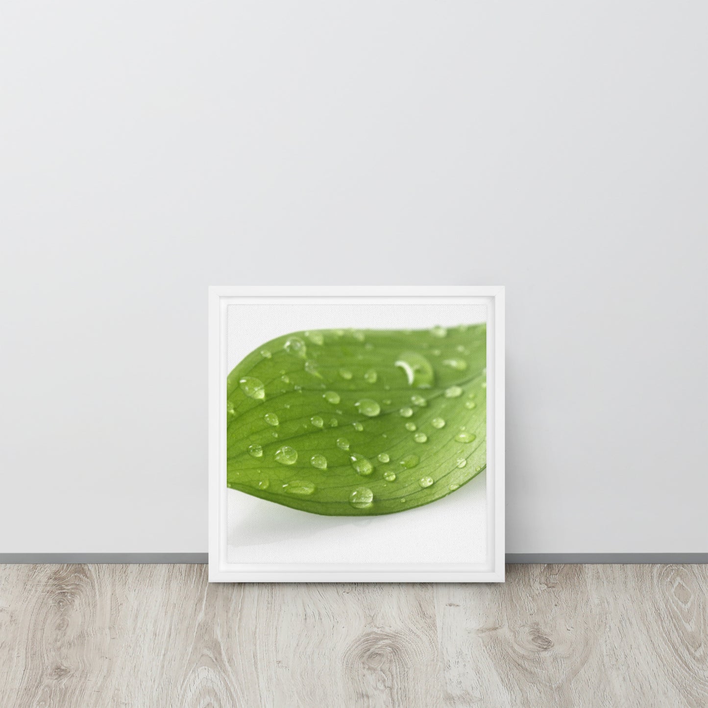 LEAF. Framed canvas