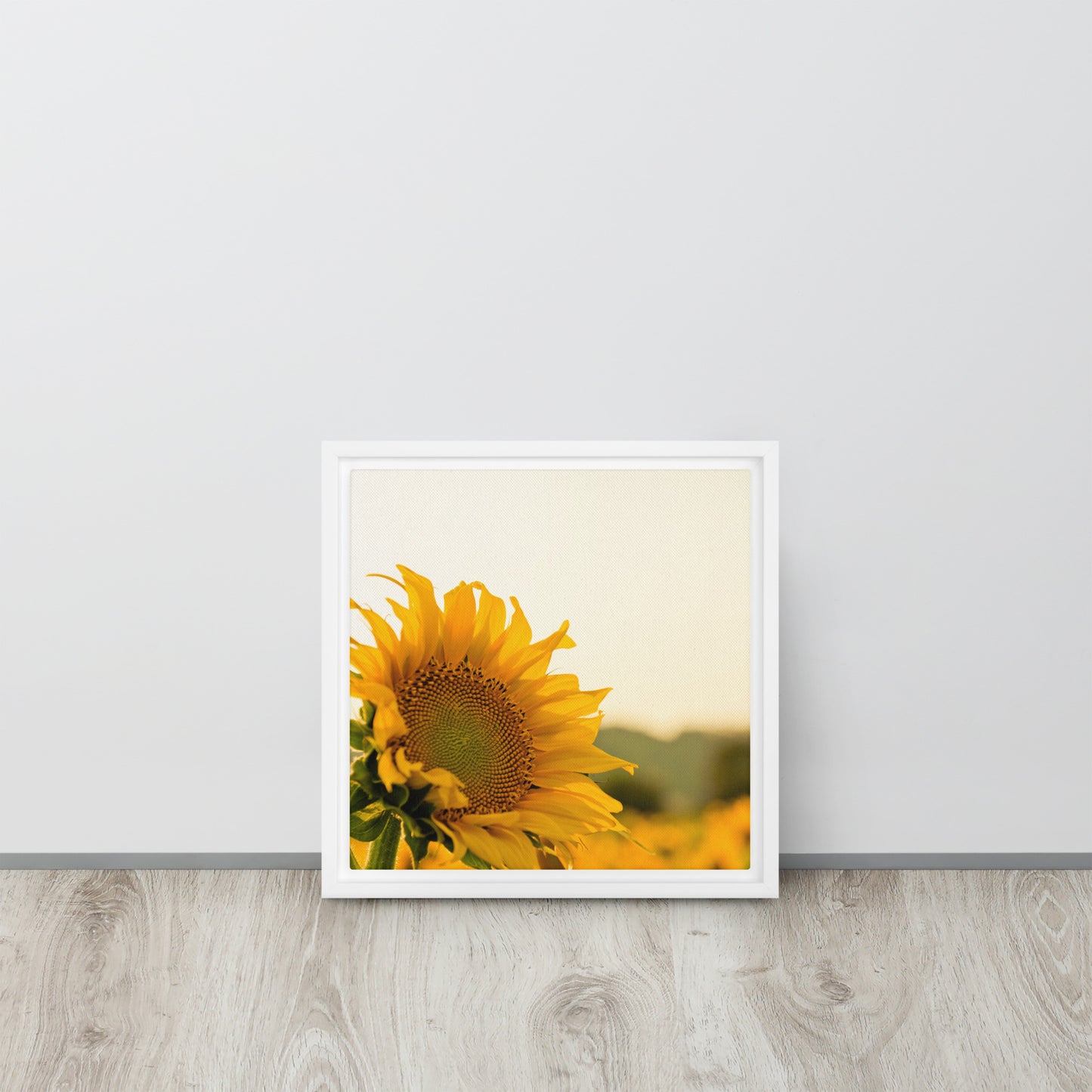 Sunflower. Framed canvas