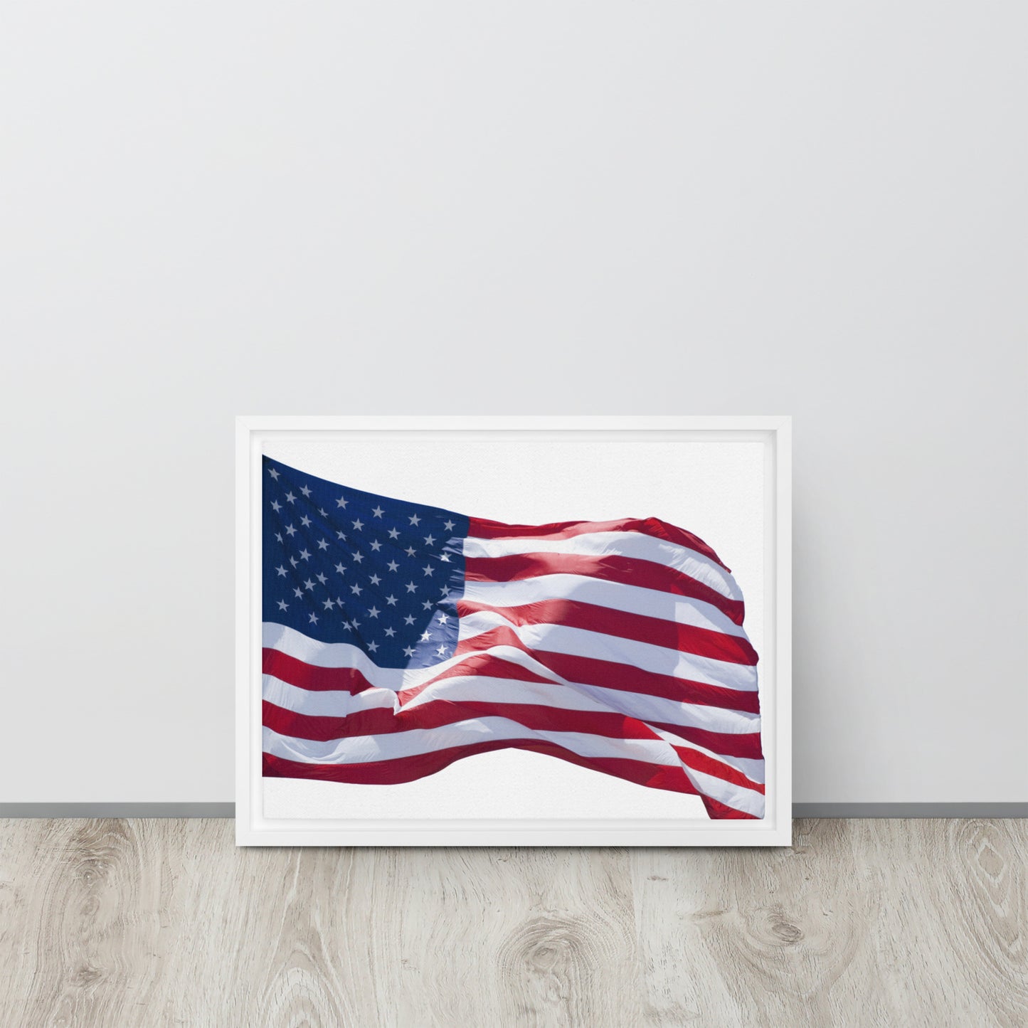 America. Framed canvas