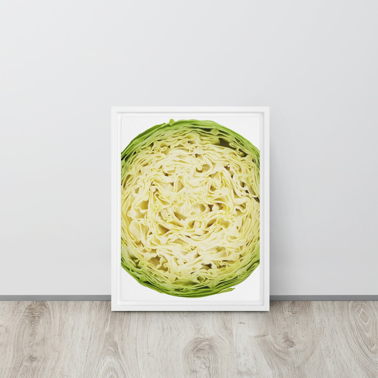 CABBAGE. Framed canvas