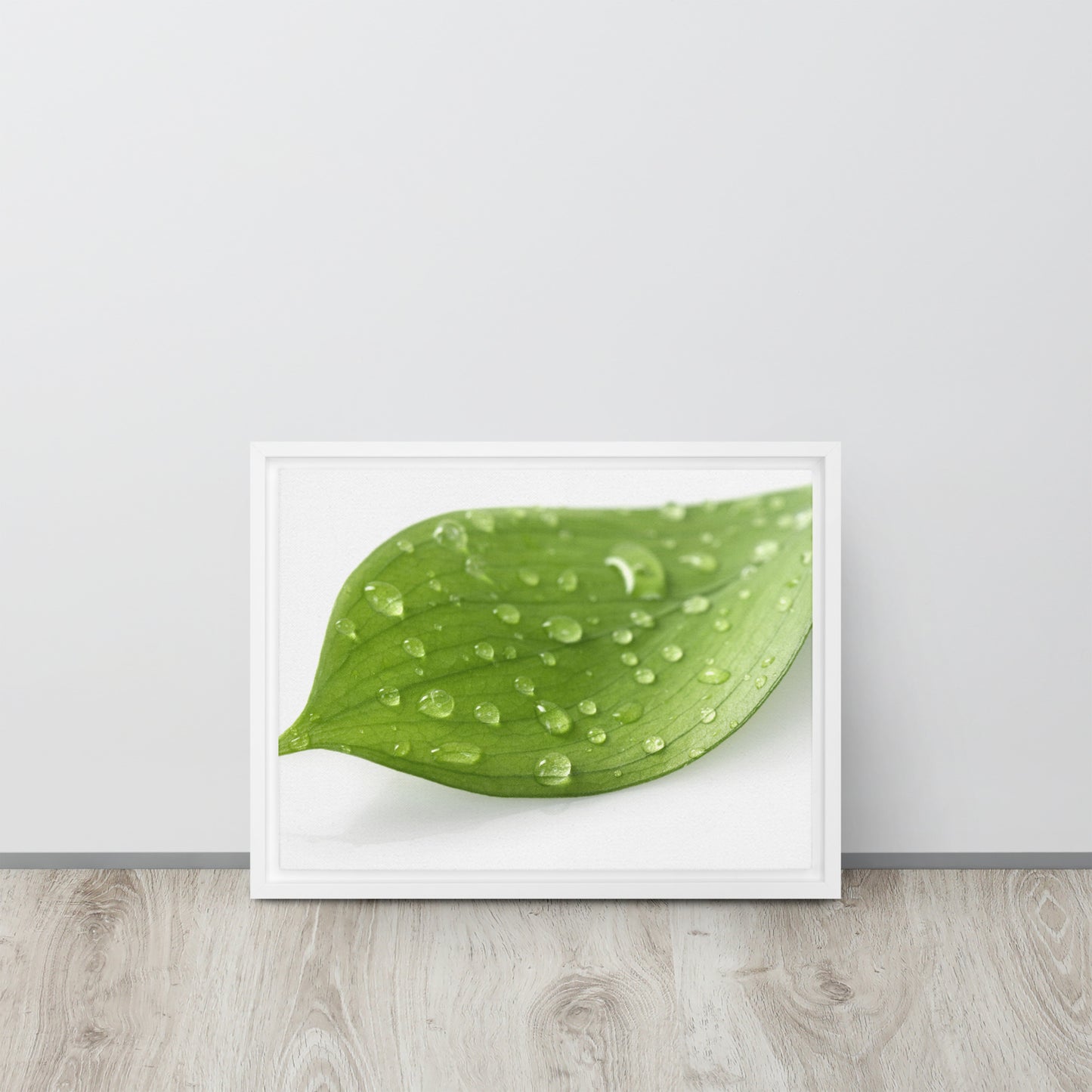 LEAF. Framed canvas