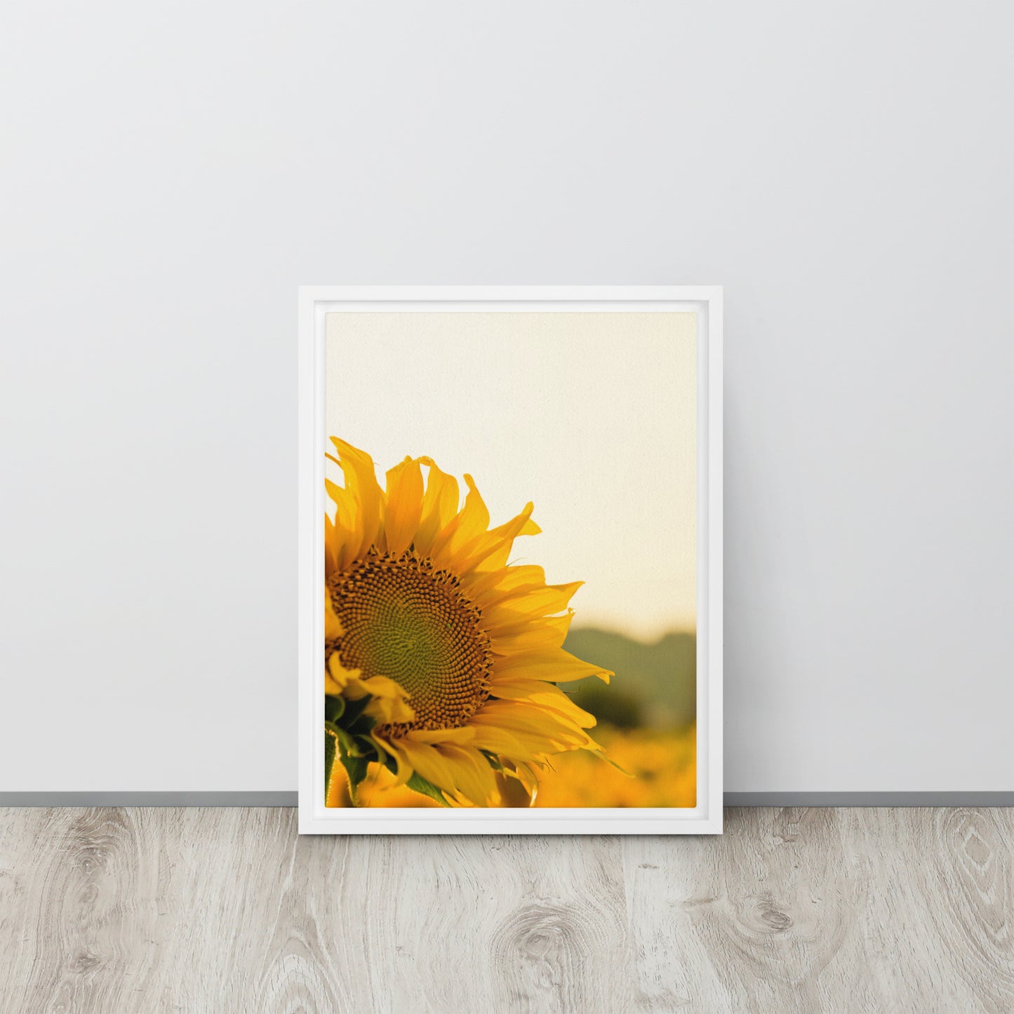 Sunflower. Framed canvas