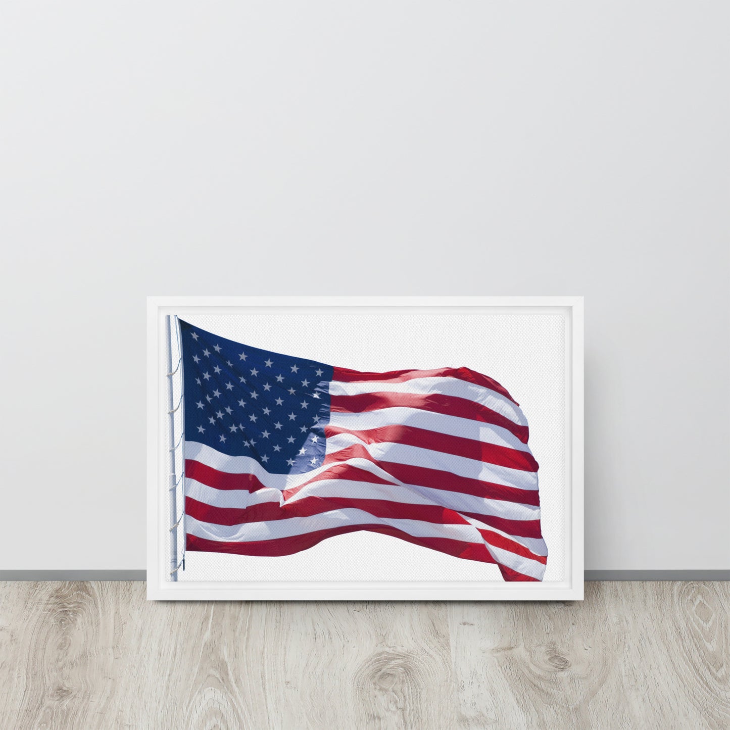 America. Framed canvas