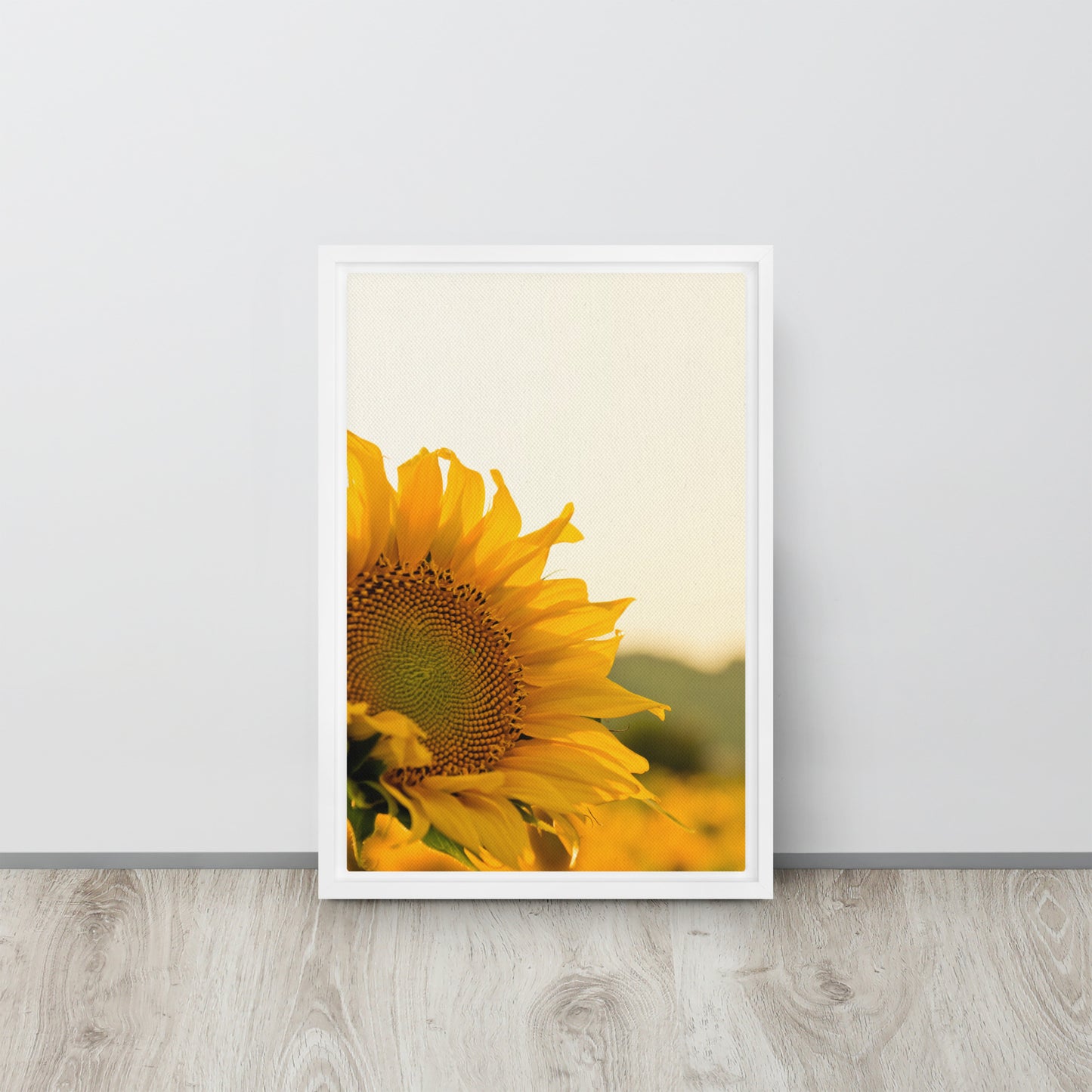 Sunflower. Framed canvas