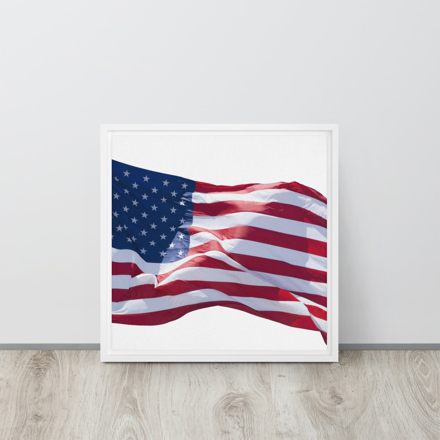 America. Framed canvas