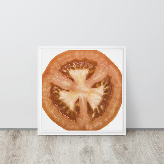 TOMATO, Framed canvas