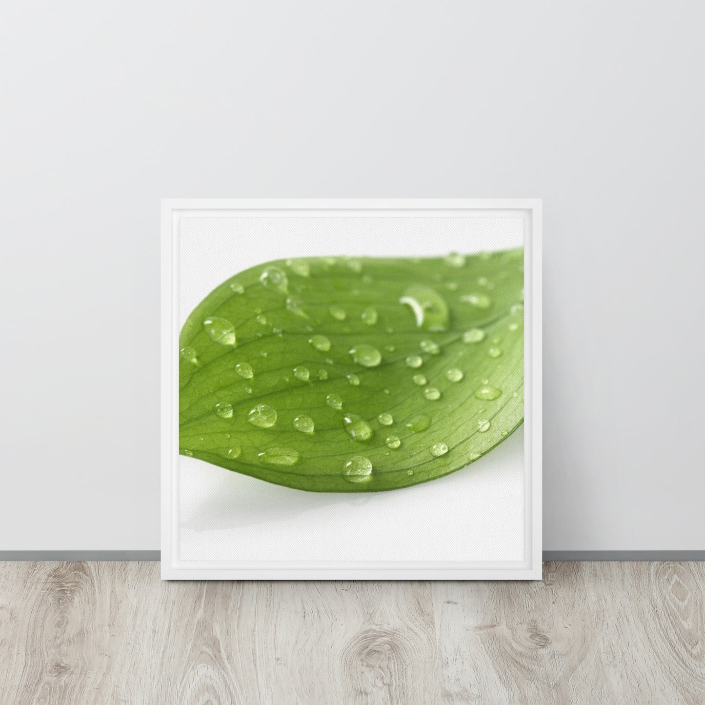 LEAF. Framed canvas