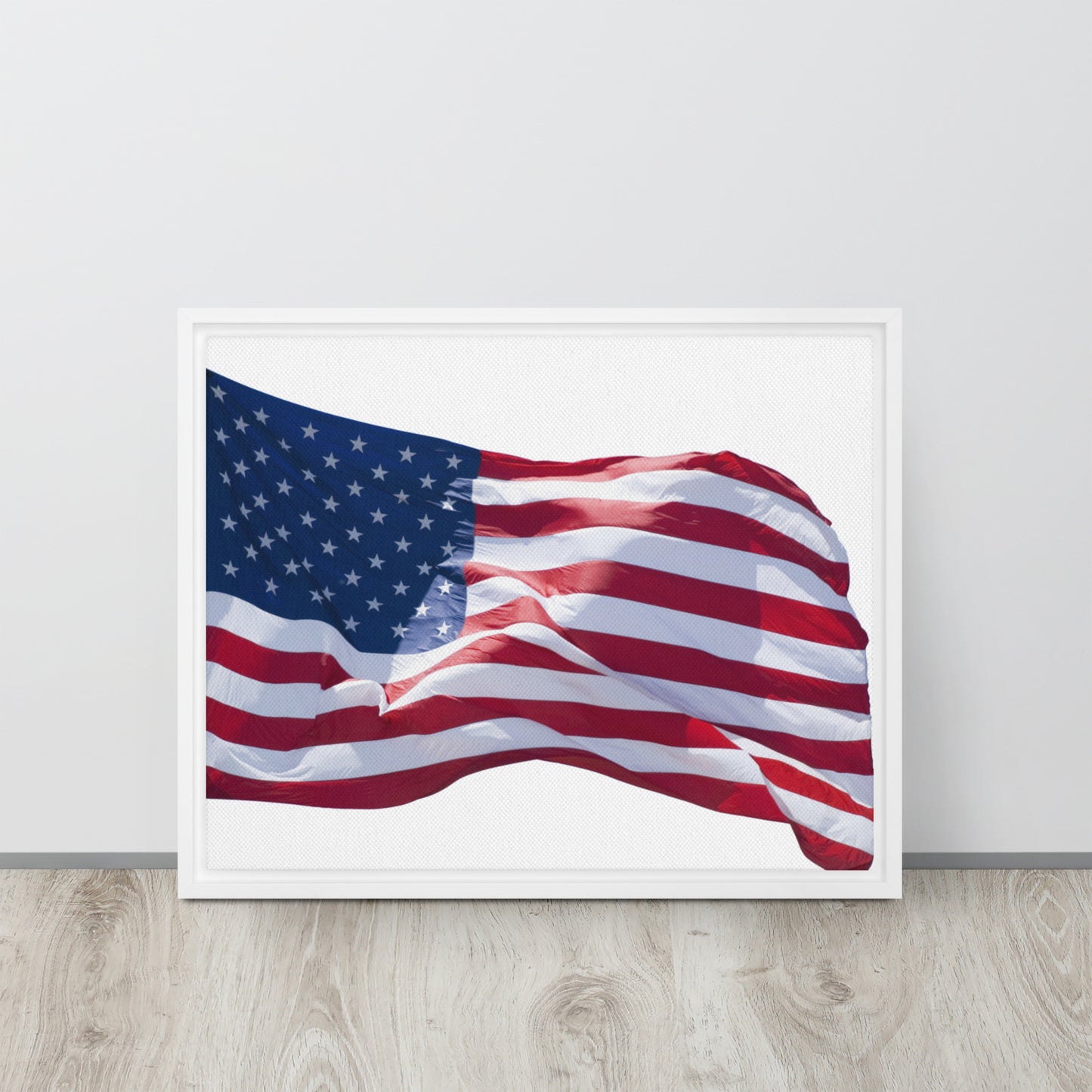 America. Framed canvas