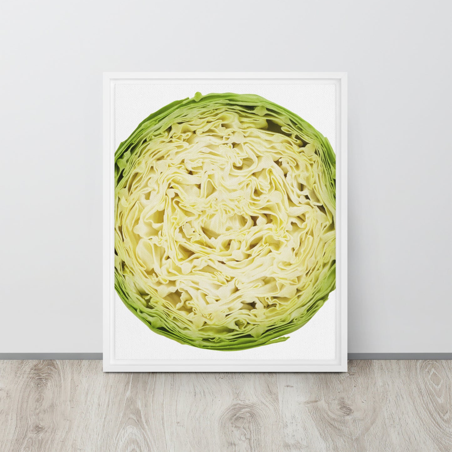 CABBAGE. Framed canvas