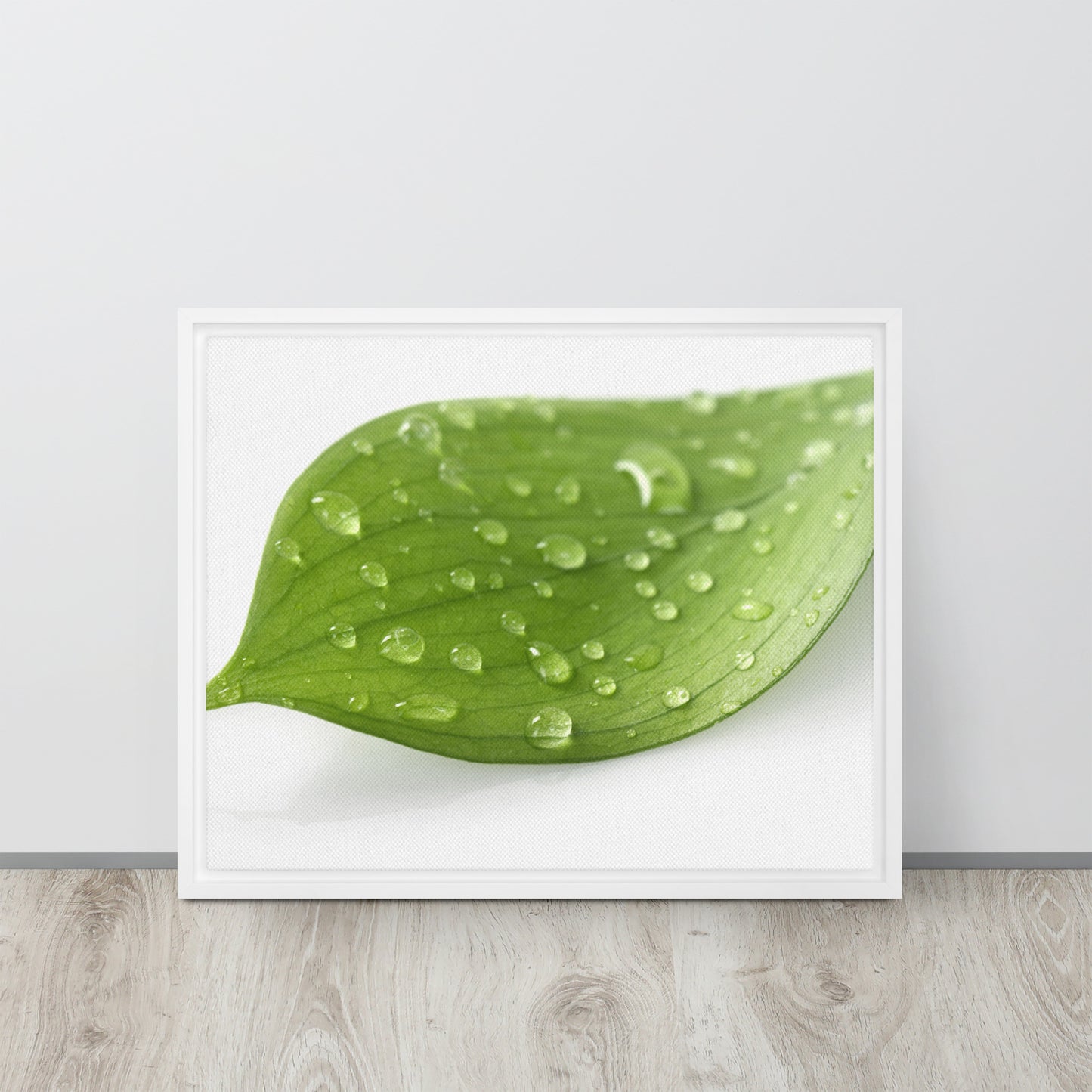 LEAF. Framed canvas