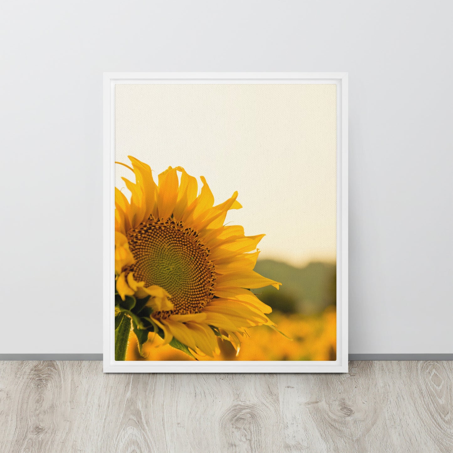 Sunflower. Framed canvas