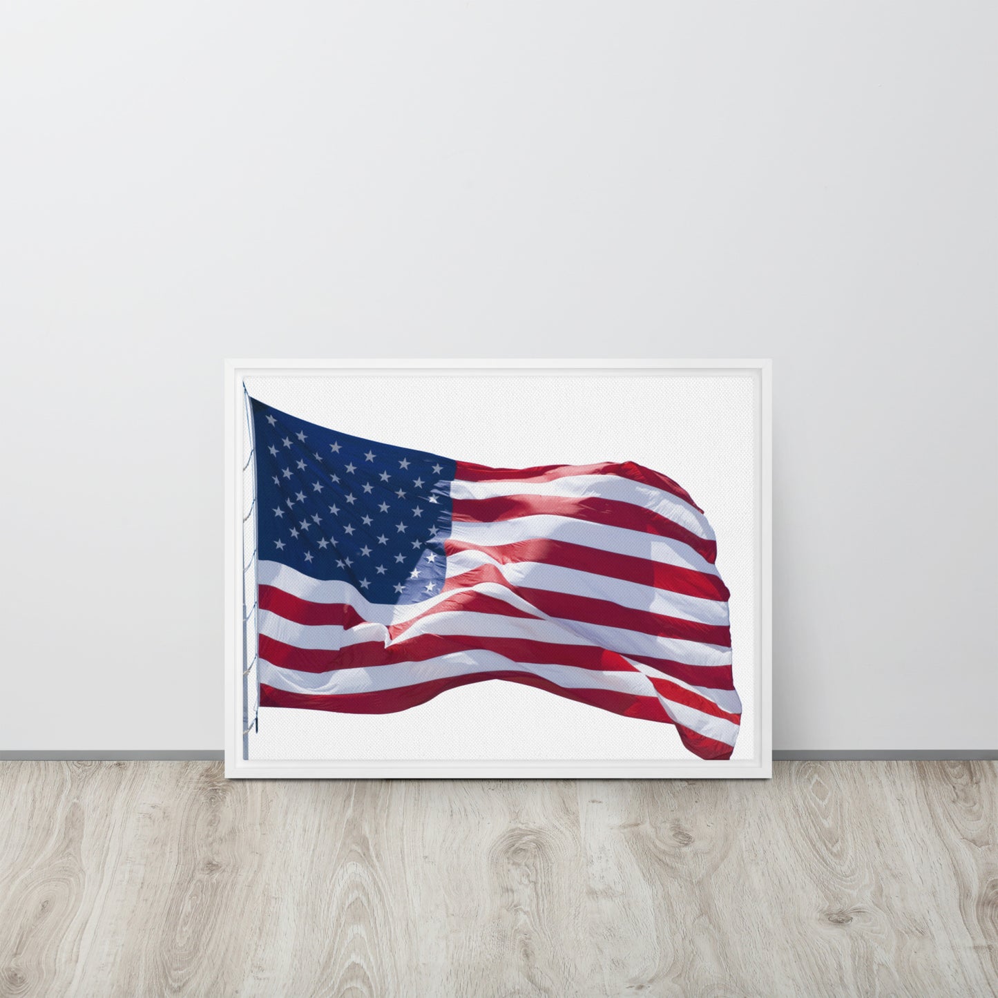 America. Framed canvas