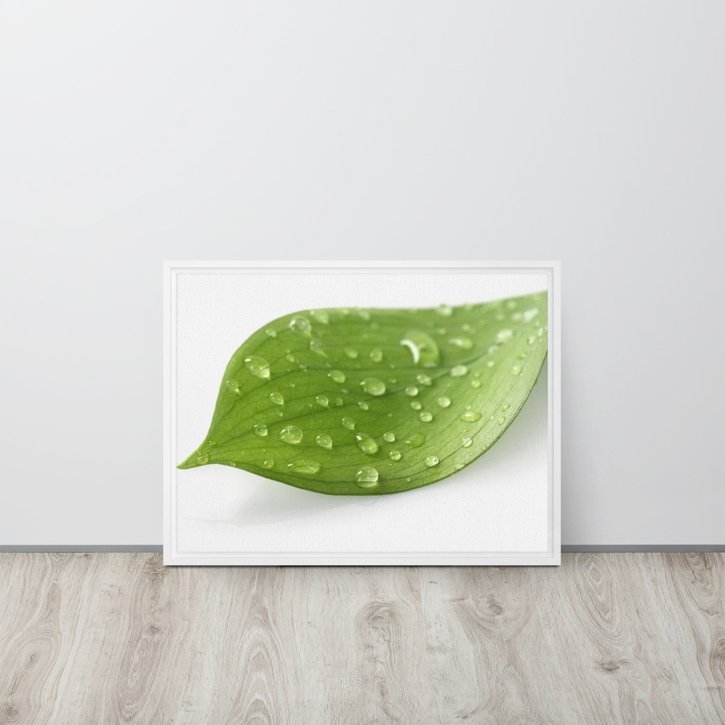 LEAF. Framed canvas