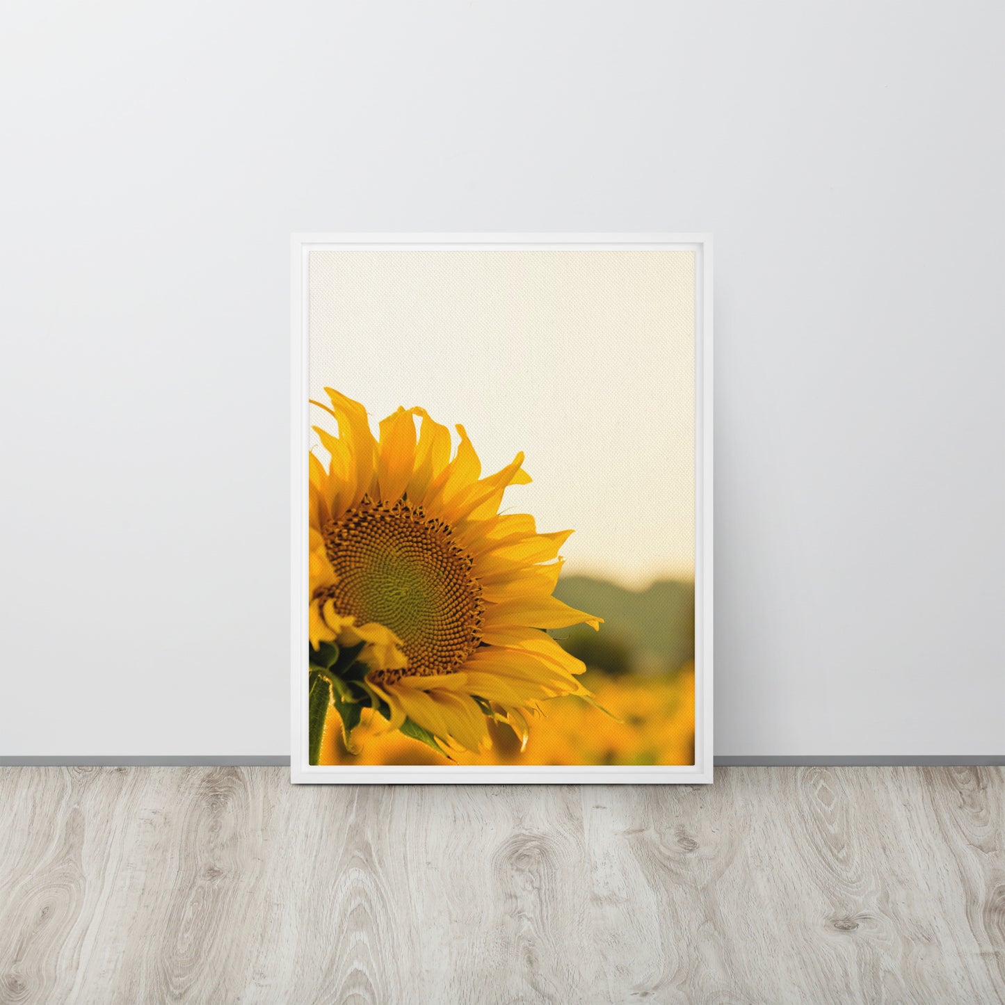 Sunflower. Framed canvas