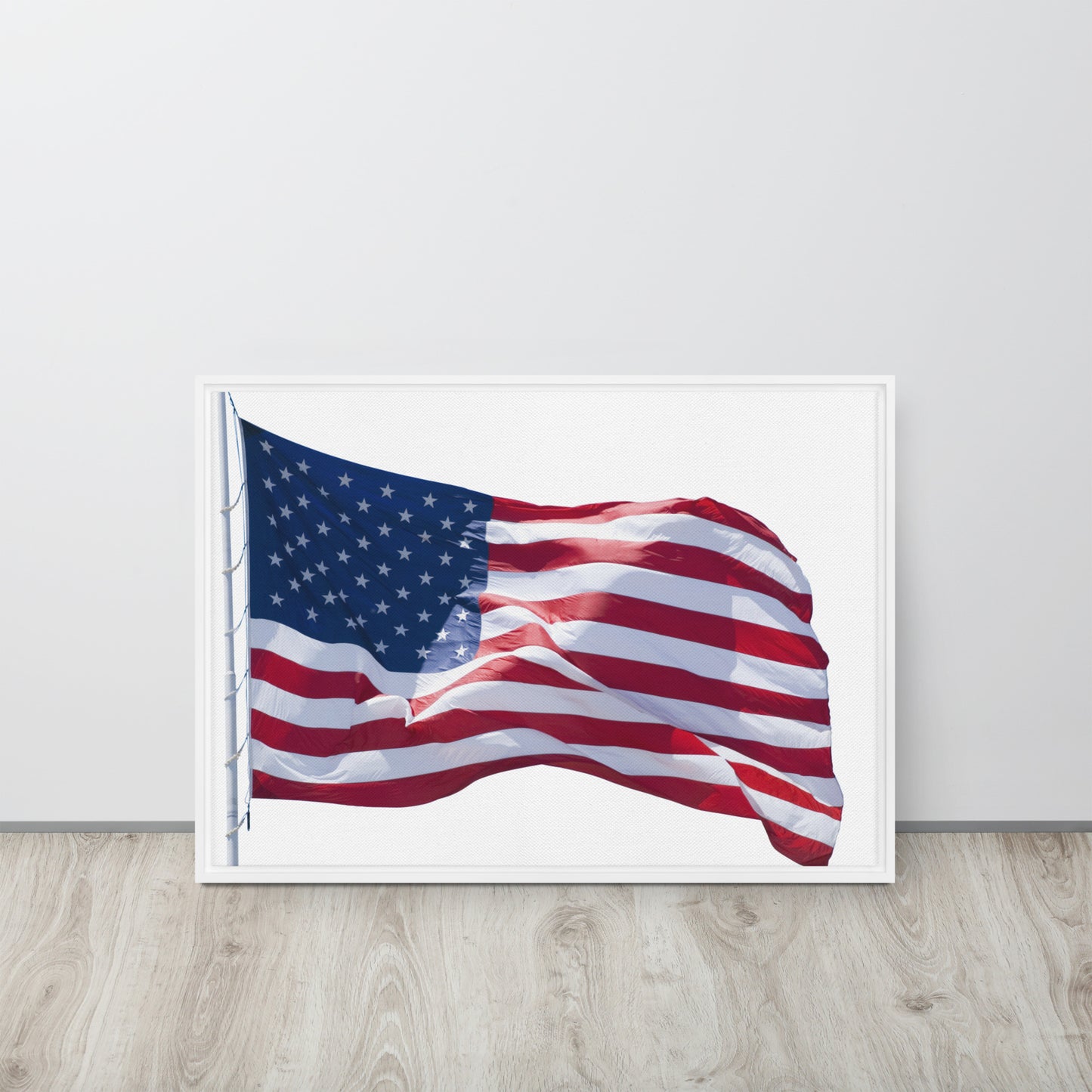 America. Framed canvas