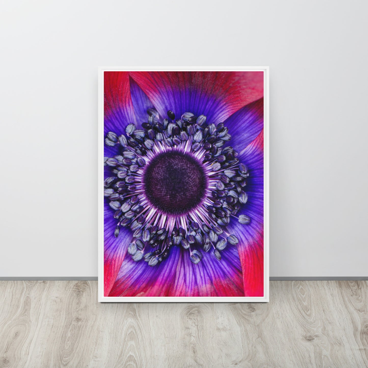 POLLINATE. Framed canvas