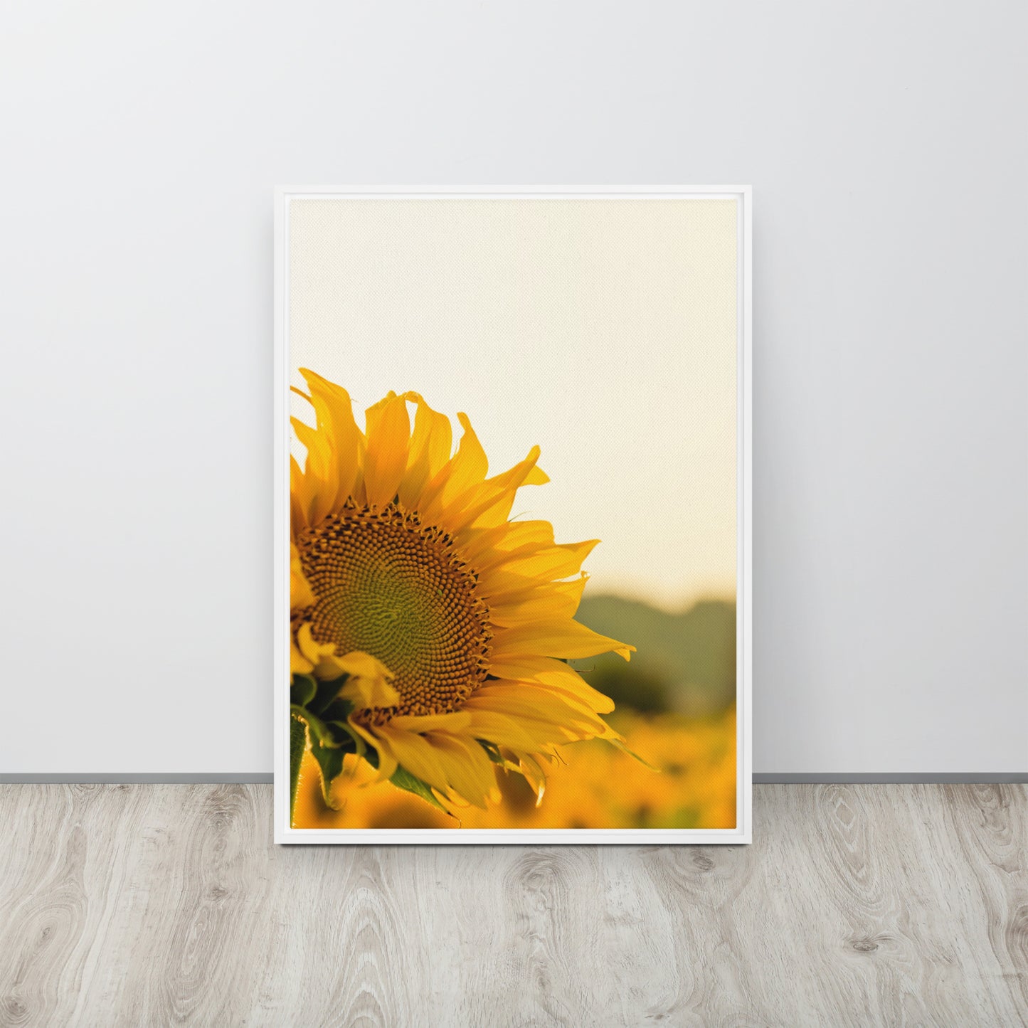 Sunflower. Framed canvas