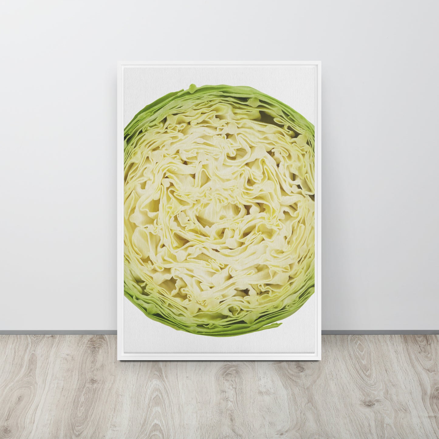 CABBAGE. Framed canvas