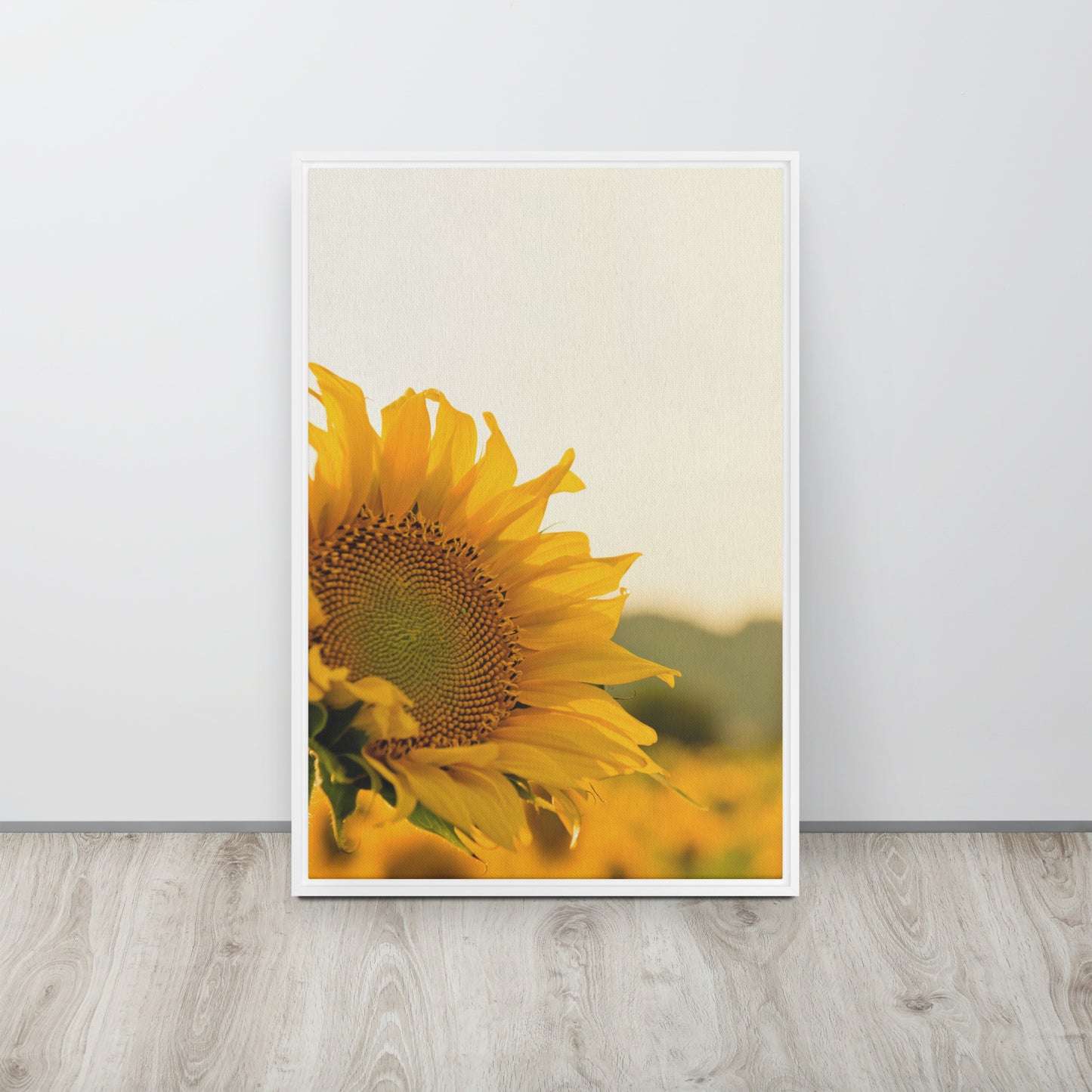 Sunflower. Framed canvas