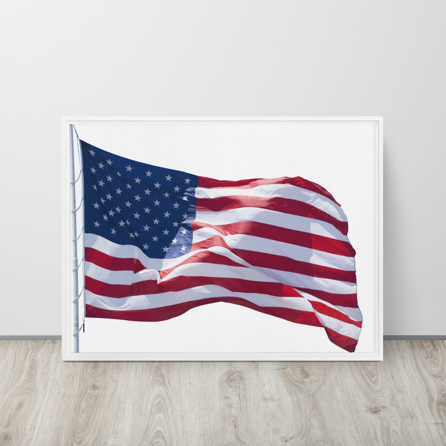 America. Framed canvas