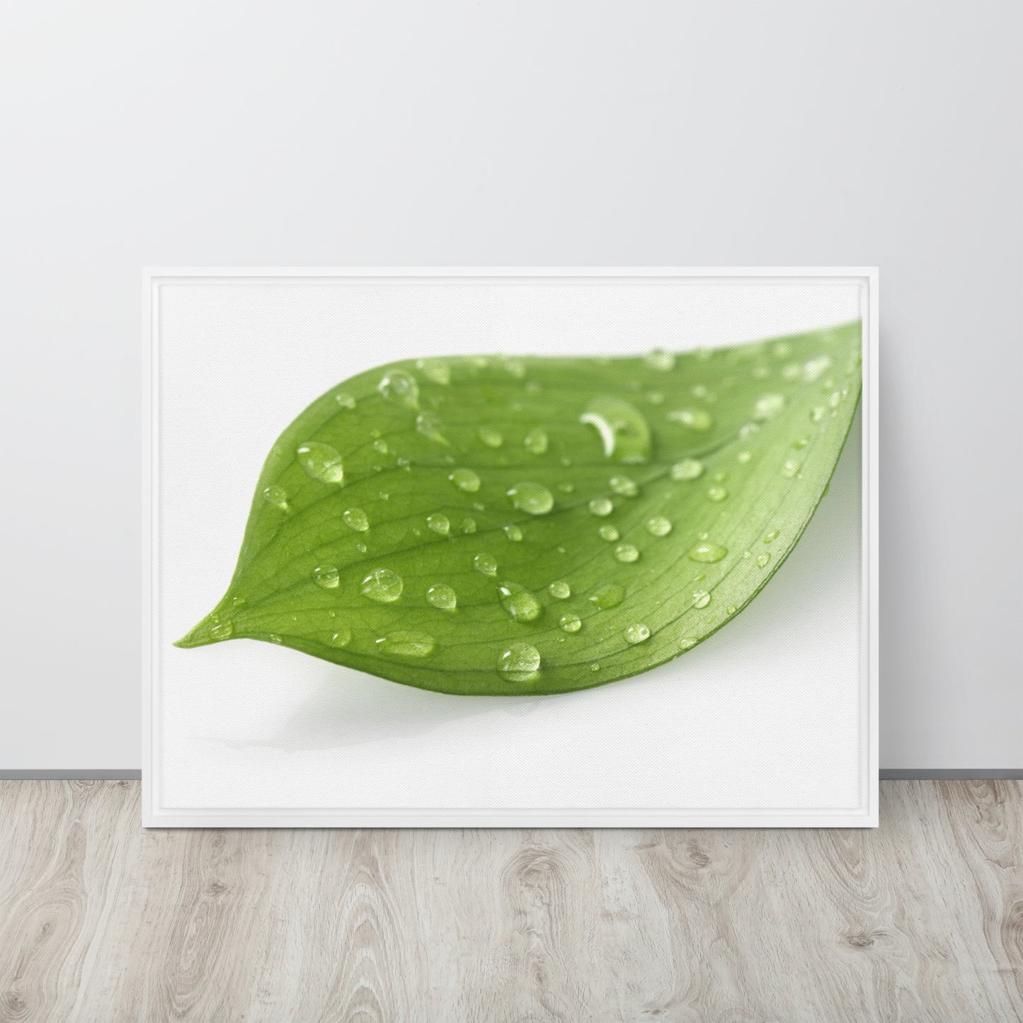 LEAF. Framed canvas