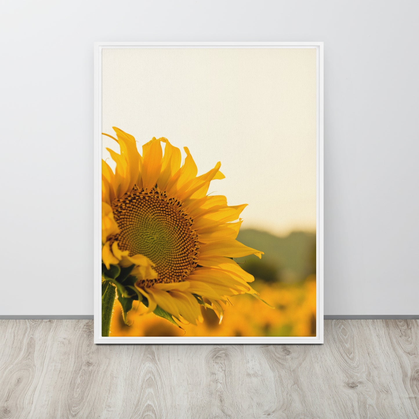 Sunflower. Framed canvas