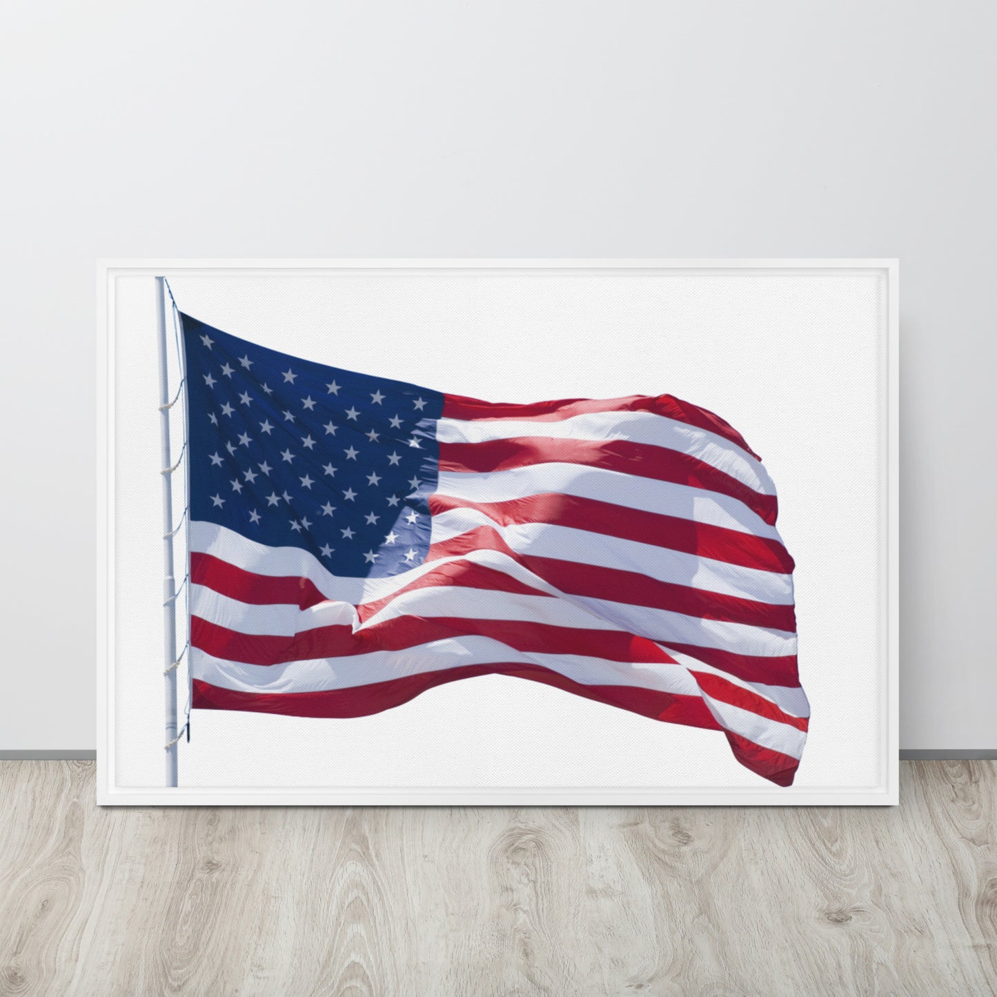 America. Framed canvas