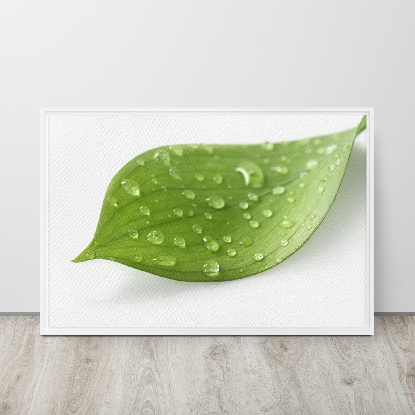 LEAF. Framed canvas