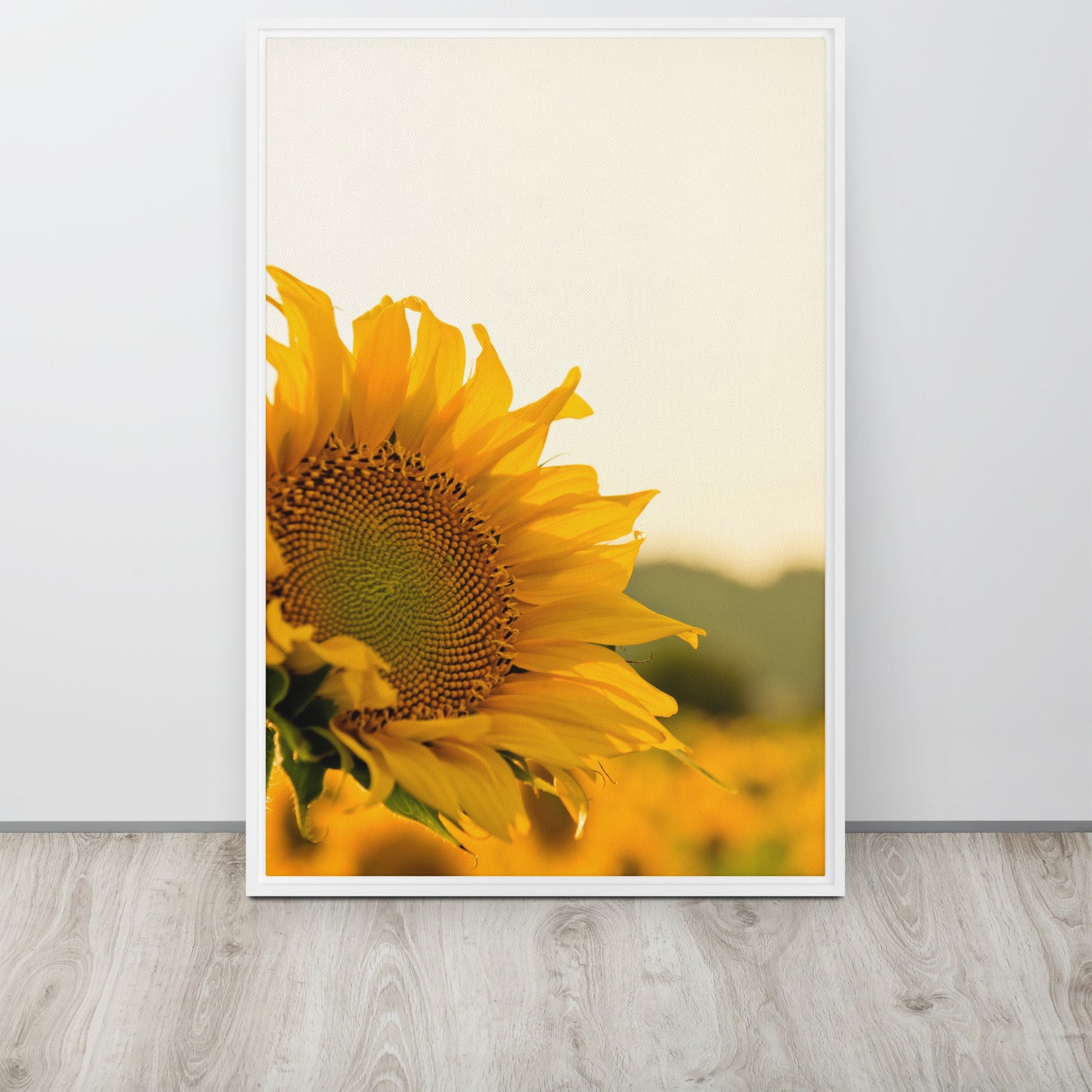 Sunflower. Framed canvas