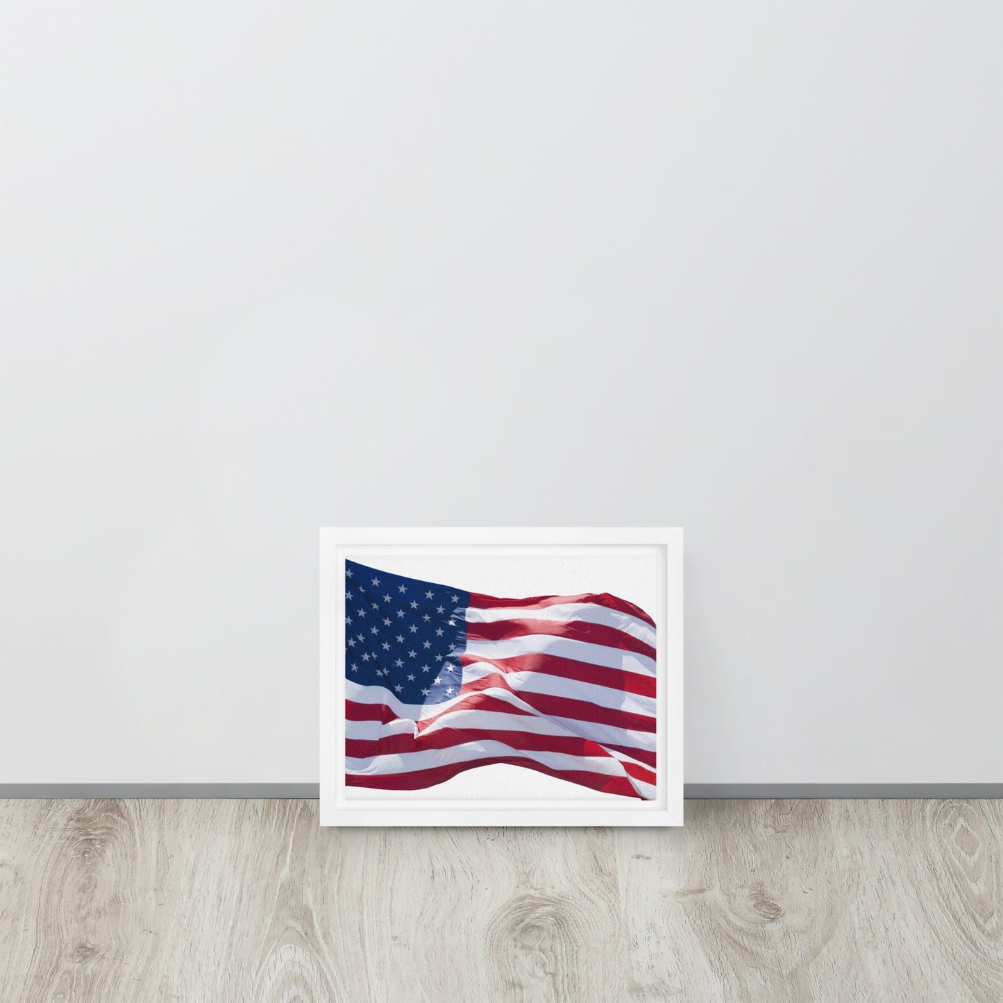 America. Framed canvas