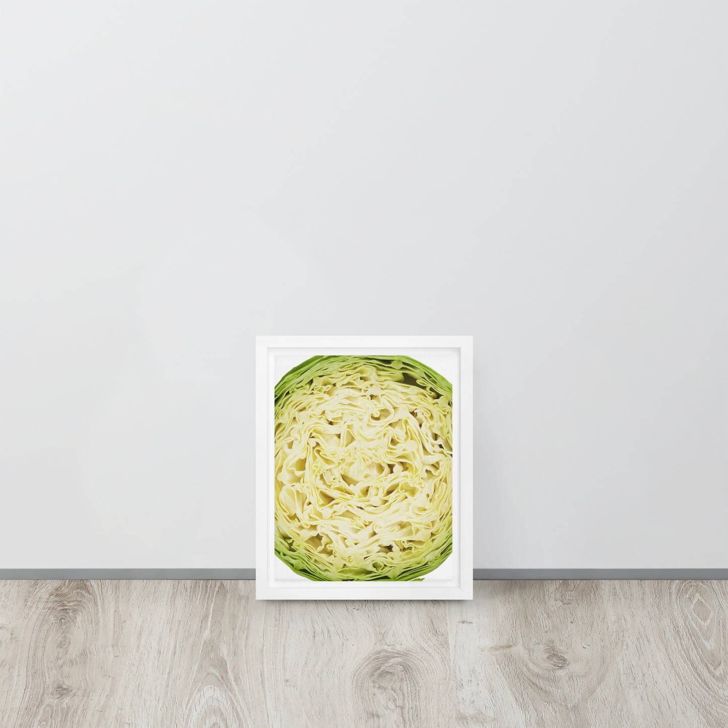 CABBAGE. Framed canvas