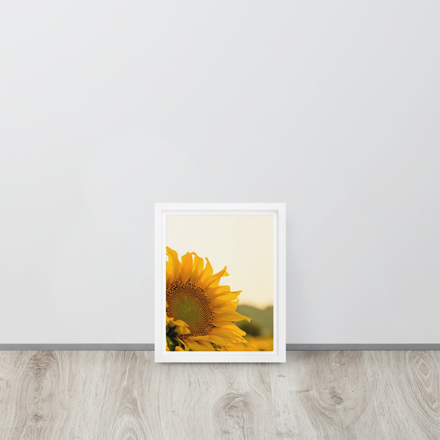 Sunflower. Framed canvas