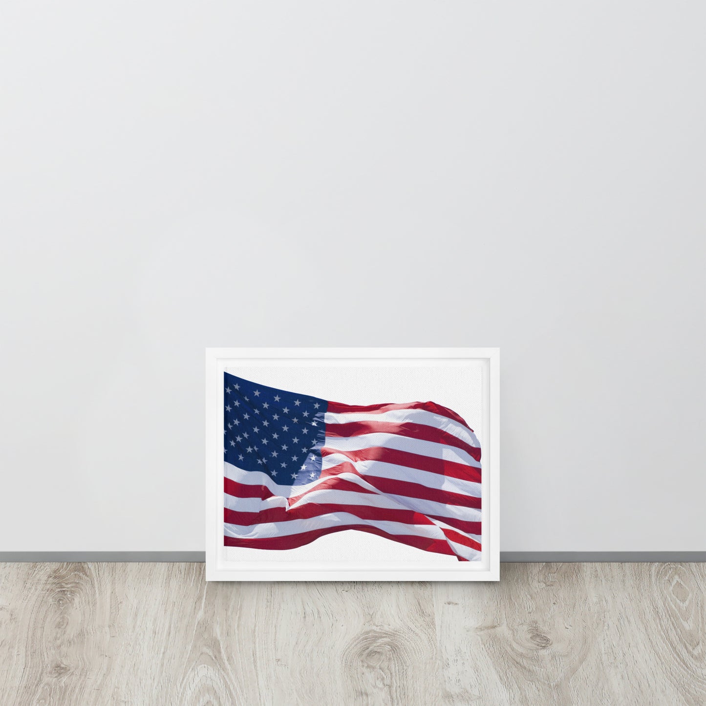 America. Framed canvas