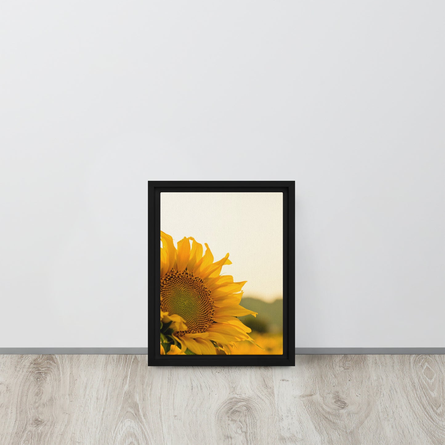 Sunflower. Framed canvas